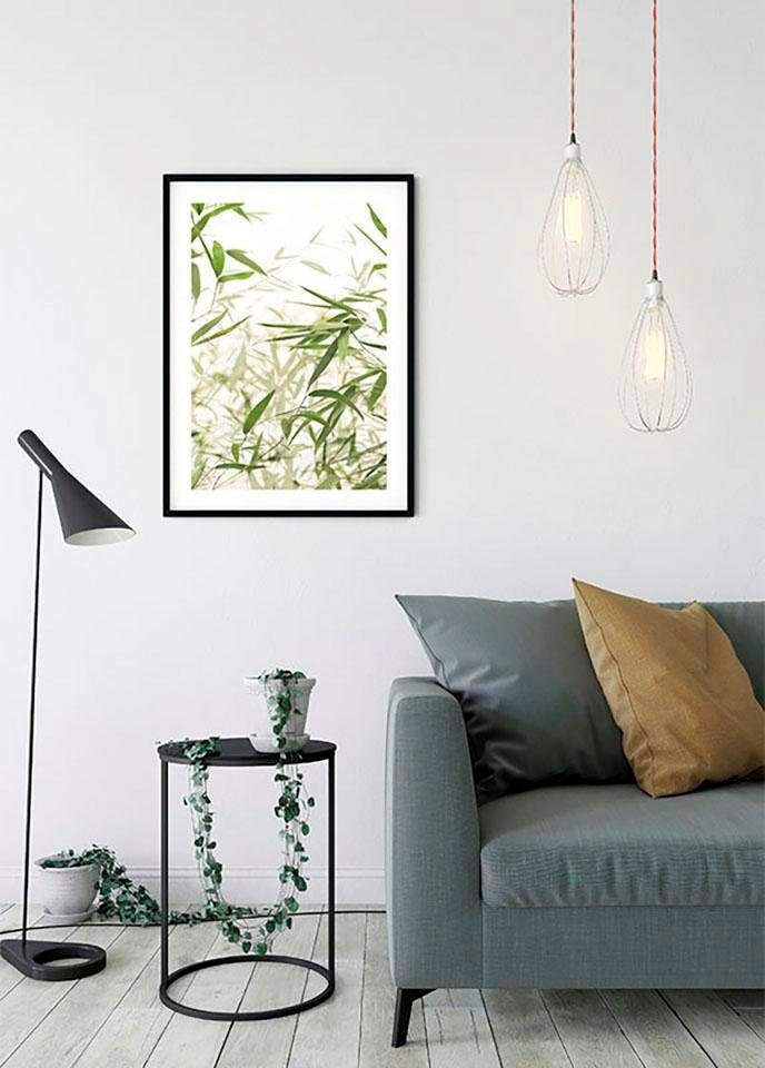 Komar Image »Bamboo Leaves« Feuilles | Plantes 1 cuis tlg. tableau mural décoratif - sans cadre
