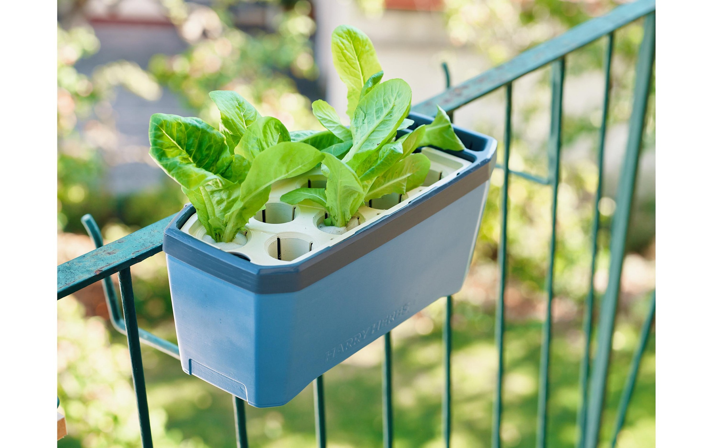 Gusta Garden Kräutertopf »HERBS blau«