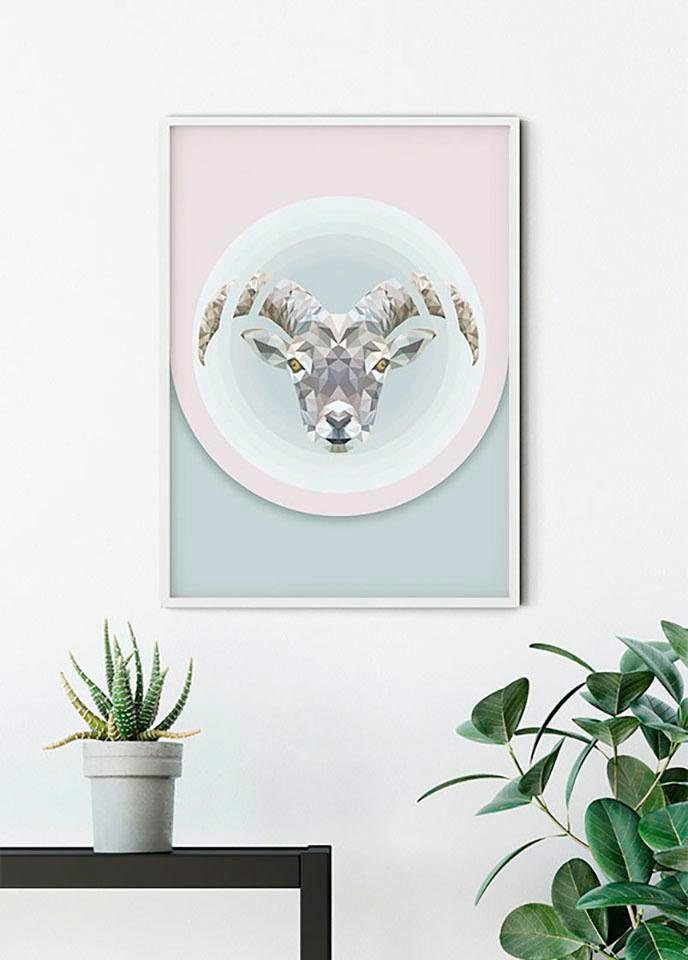 Komar Bild »Capricorn« Tiere 1 Stk. tlg. Wandbild zur Dekoration - ohne Rahmen