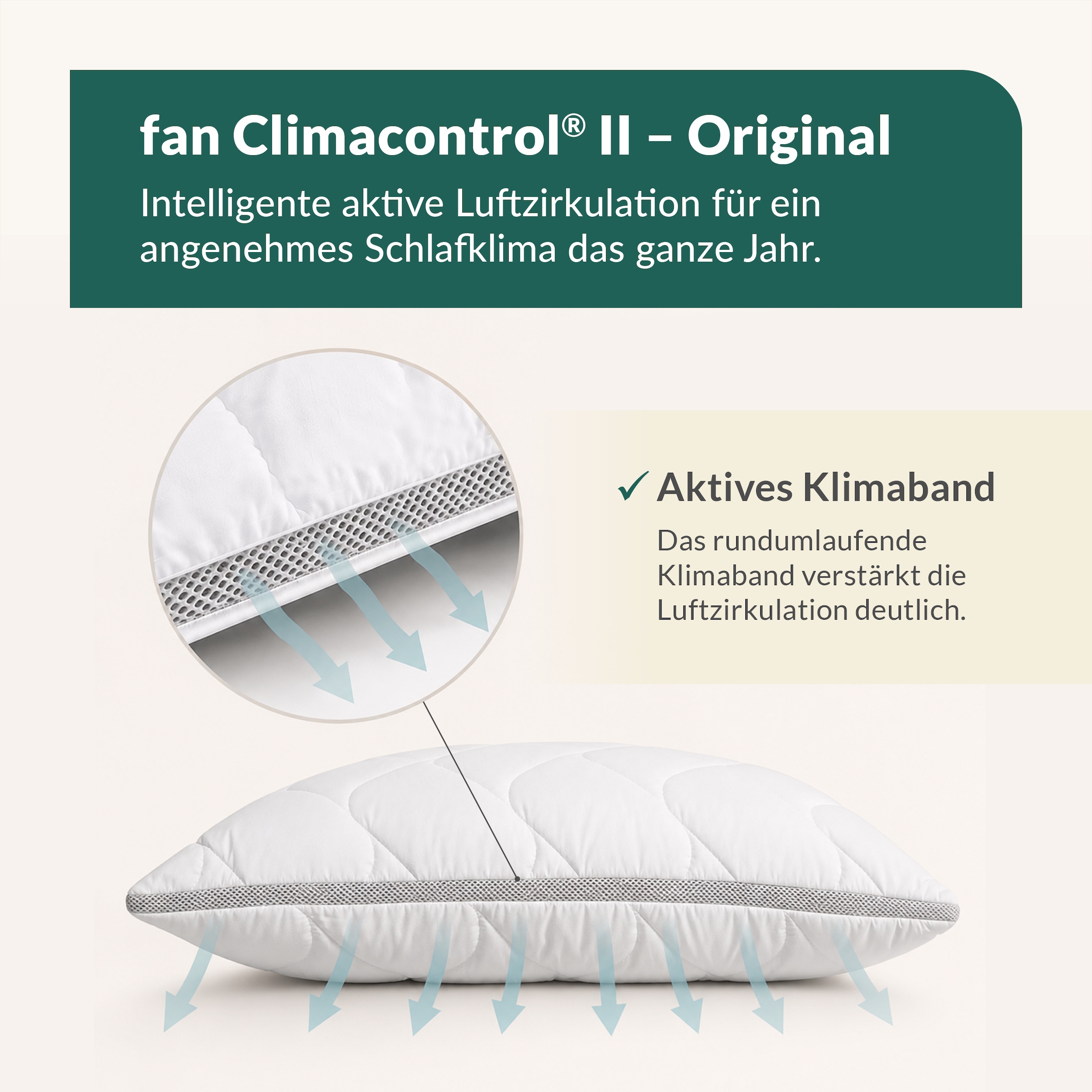 fan Oreiller en microfibre »Climacontrol® II m. Baumwollbezug« 1 cuis tlg. Oreiller en microfibre avec bande d’aération, disponible en 40x80 ou 80x80 cm