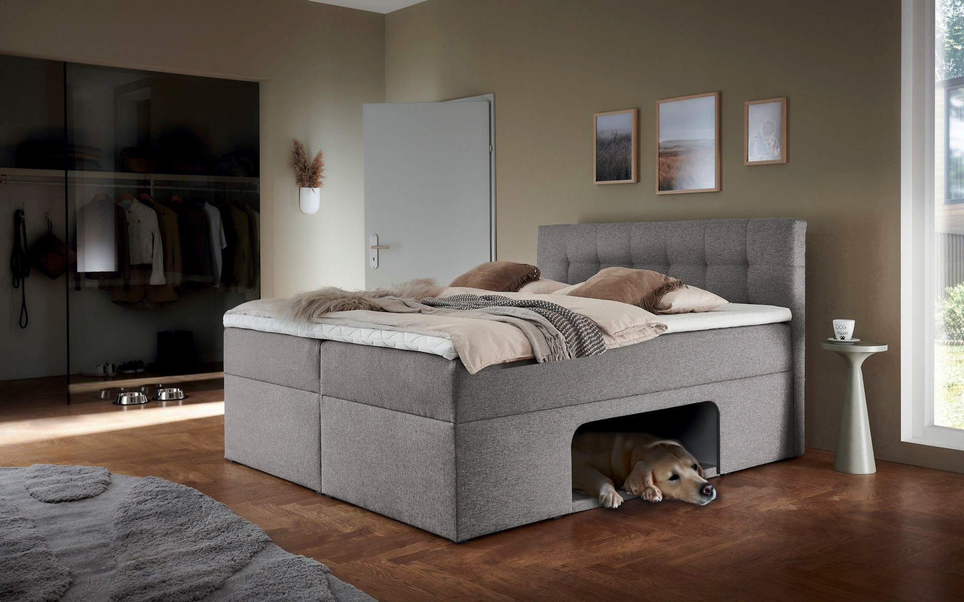 Home affaire Lit de boxe »Carolin« avec niche incluant un coussin rembourré pour animaux