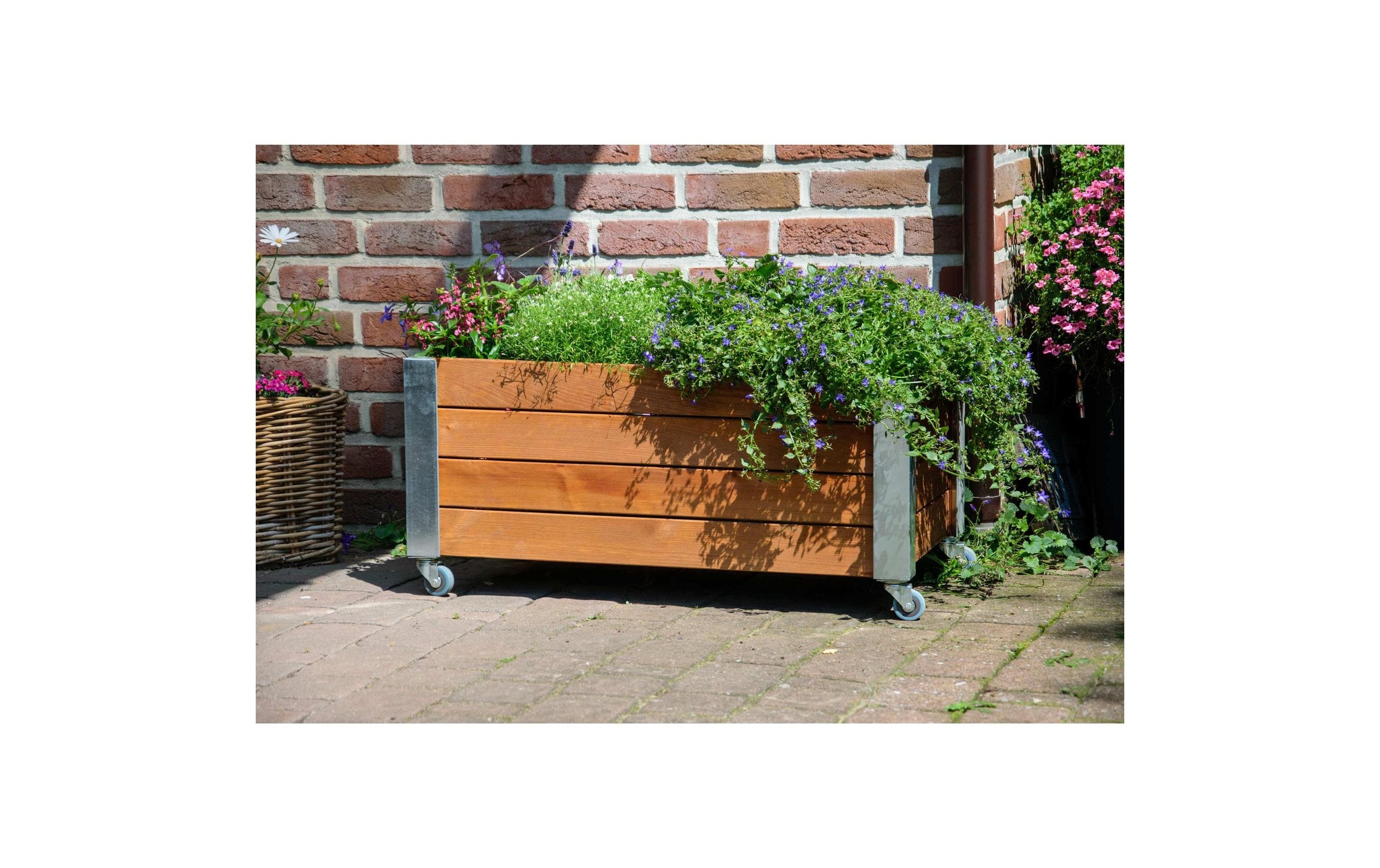 dobar Hochbeet »«Rollfi» aus Holz mit Rollen«