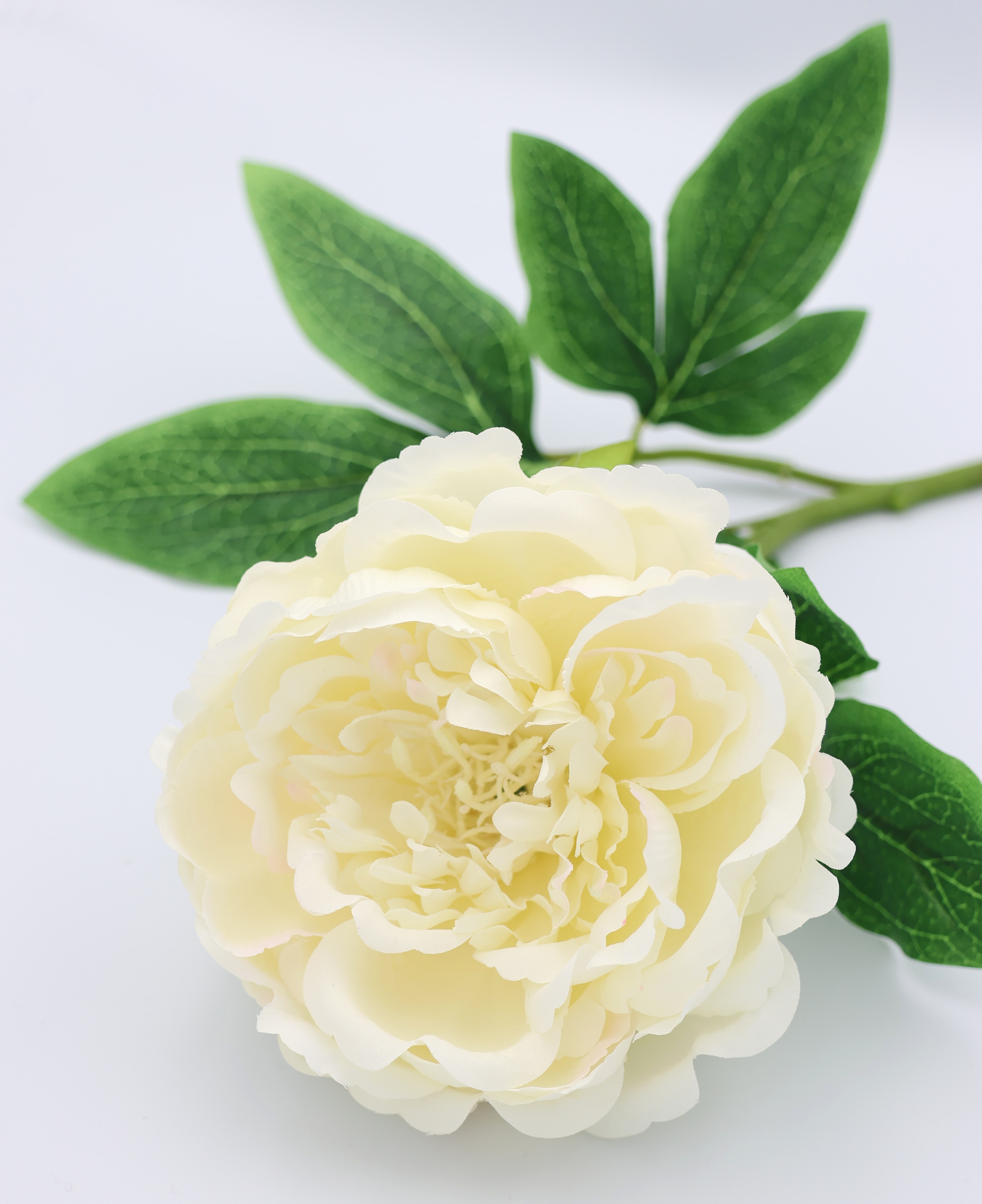 I.GE.A. Kunstblume »Päonie Bauernrose« Pfingstrosen Einzelblume, 3er Set