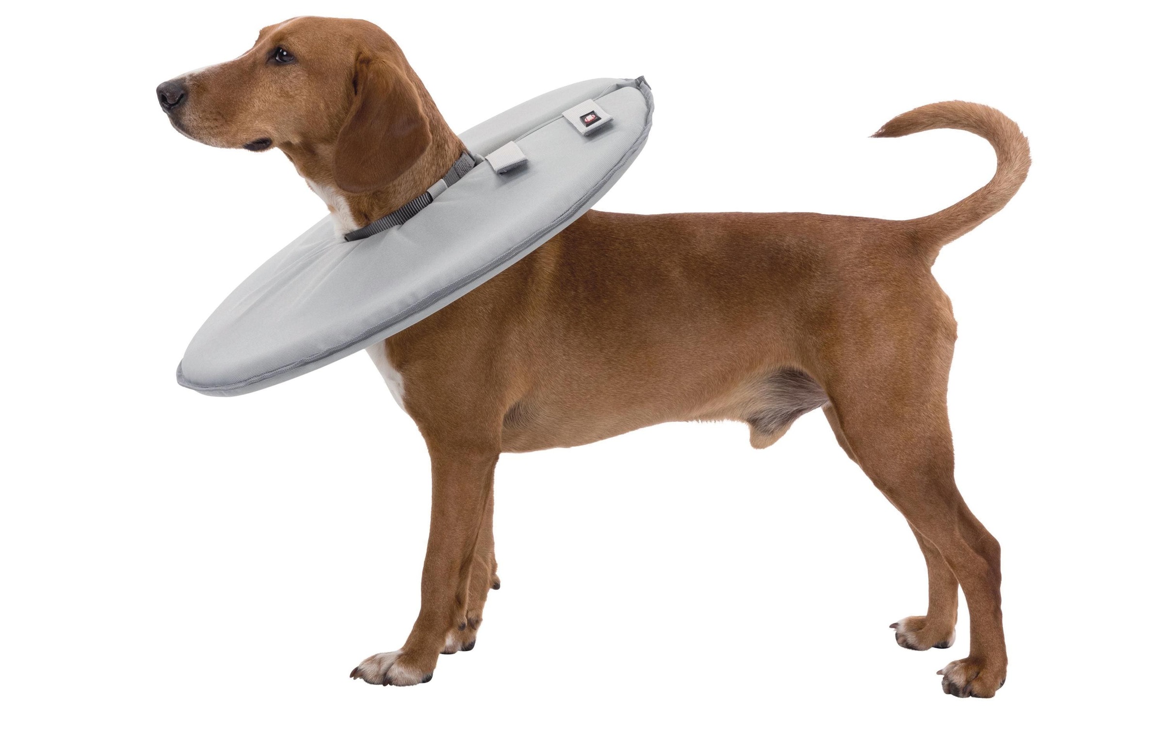 TRIXIE Collier de protection »Schutzkragen weich mit Klettverschluss«