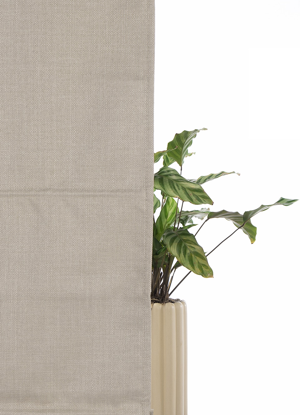 my home Rollo »RIOLA« verdunkelnd Blendschutz | Sichtschutz | Verdunkelung ohne Bohren freihängend Faltrollo in trendiger Leinenoptik, einfache Montage