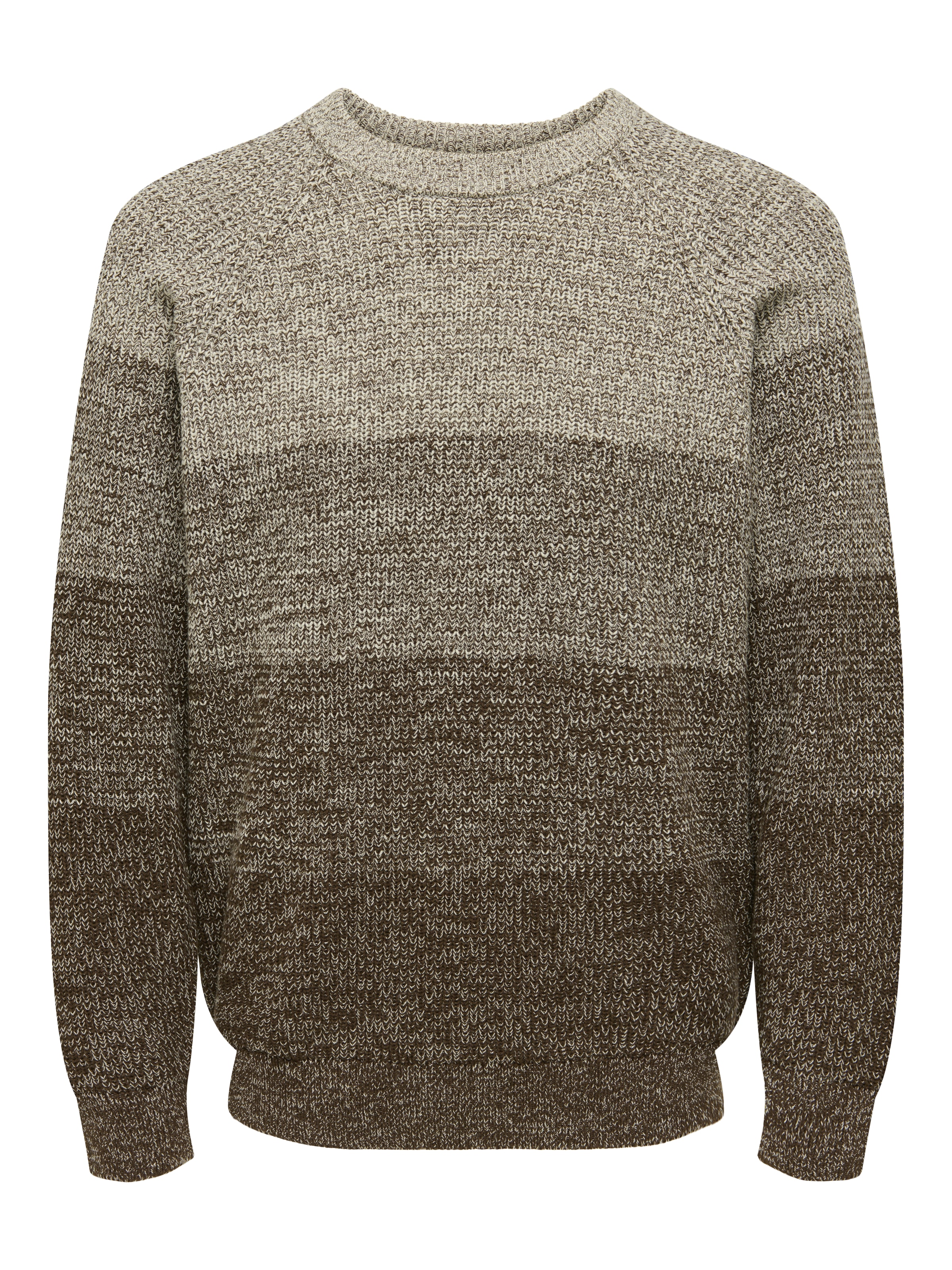ONLY & SONS Rundhalspullover »ONSBIRK RLX LS RAGLAN KNIT CAMP«