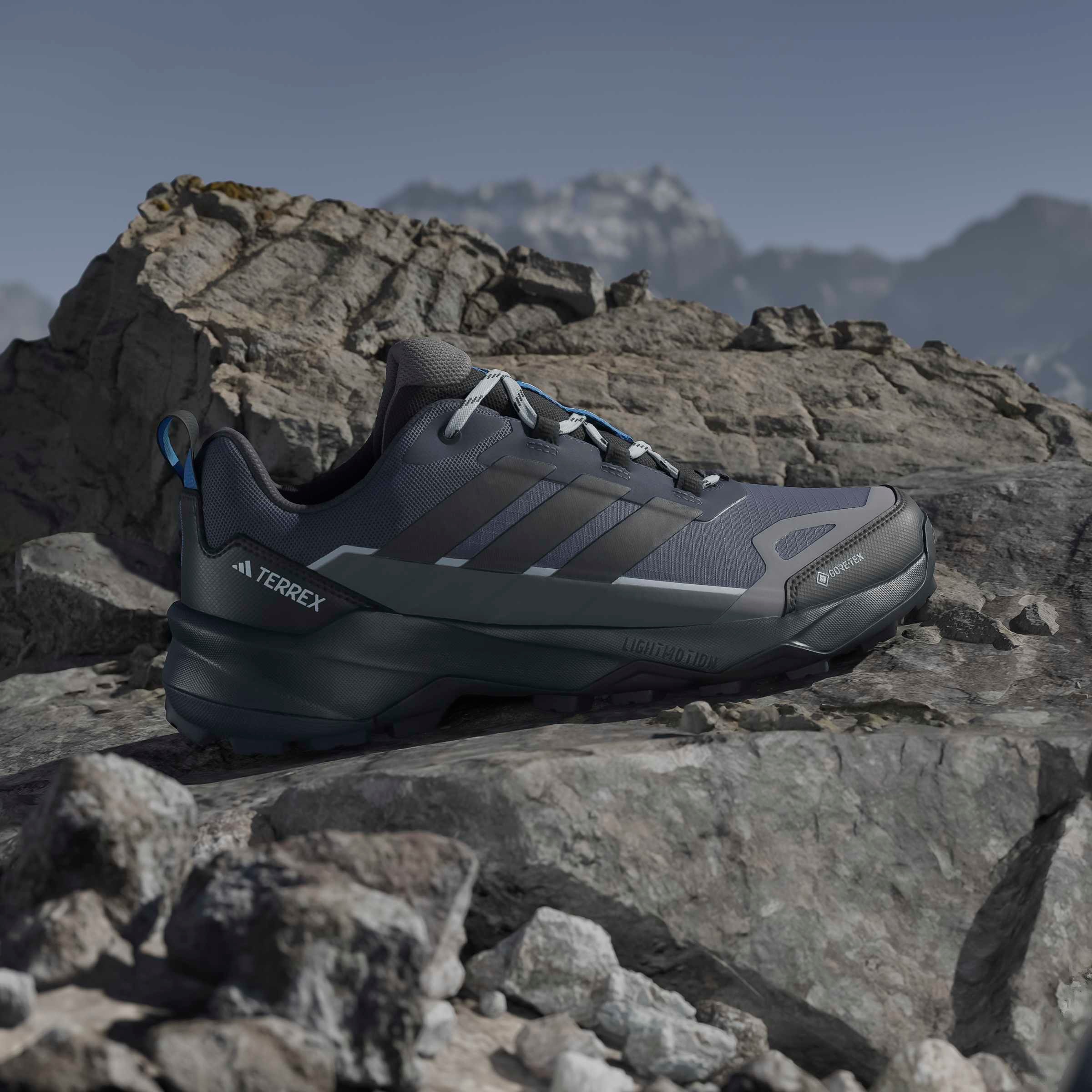 adidas TERREX Wanderschuh »TERREX SKYCHASER AX5 GORE-TEX«  wasserdicht dank Gore-Tex Membrane