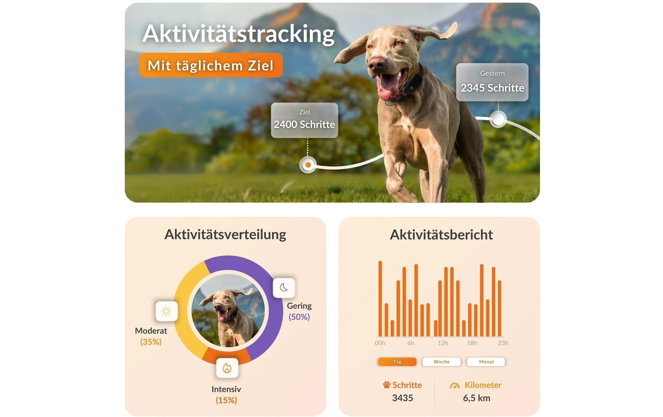   GPS-Hundetracker »Weenect für Hunde XT mit Halsband«