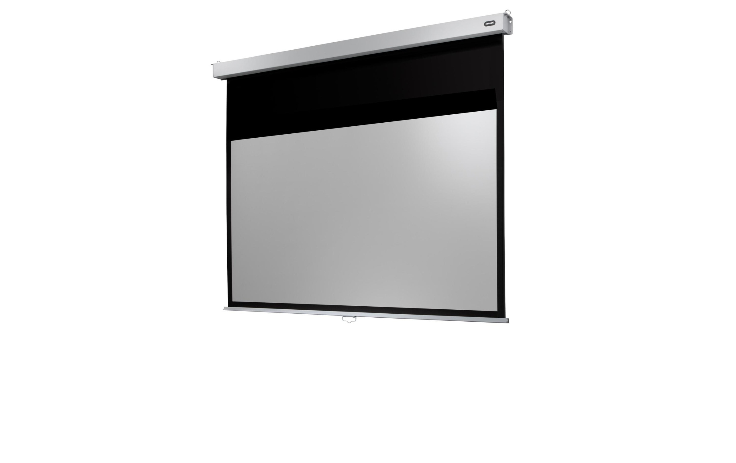 Celexon Rolloleinwand »Pro Plus 240x150 cm«