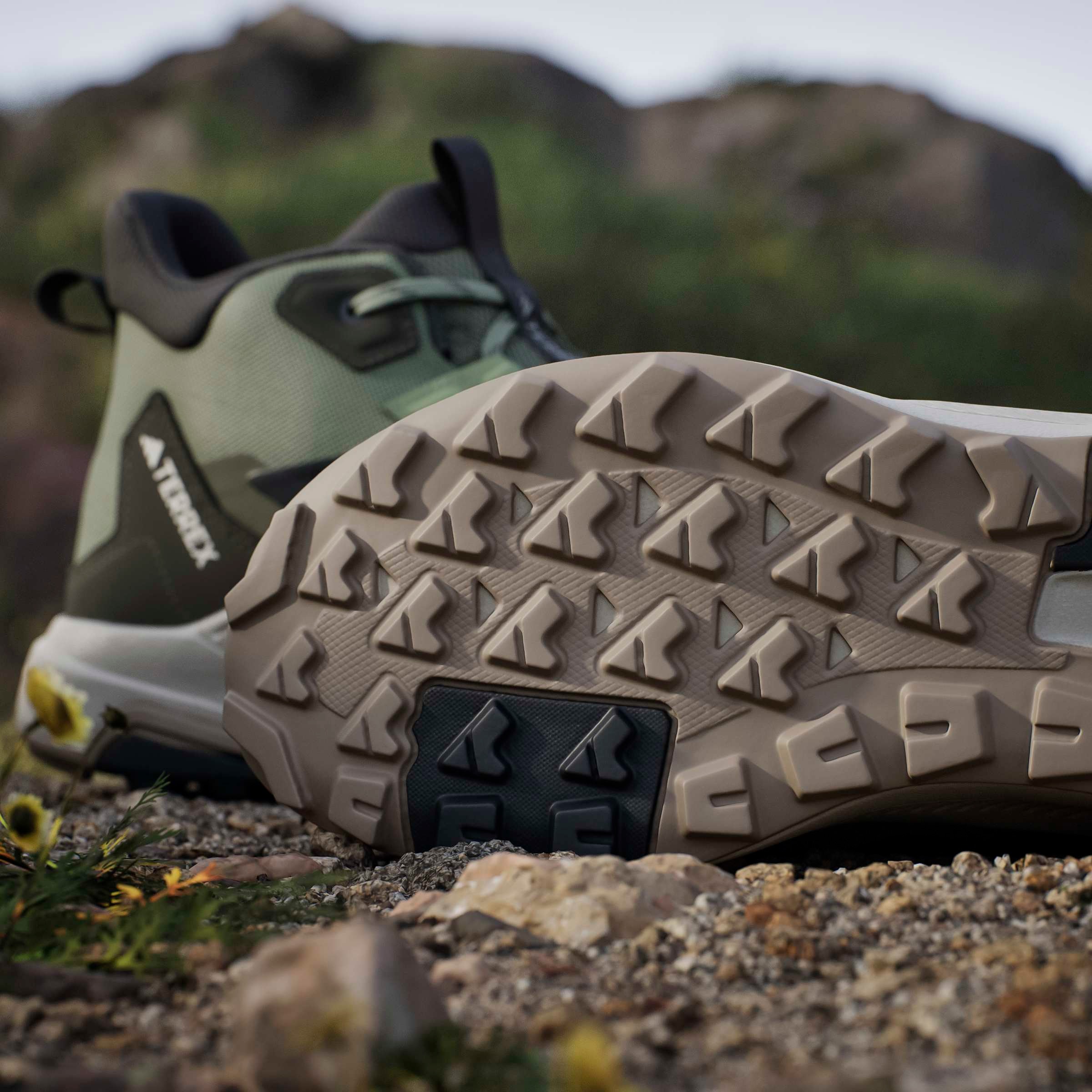 adidas TERREX Chaussure de randonnée »ANYLANDER MID«