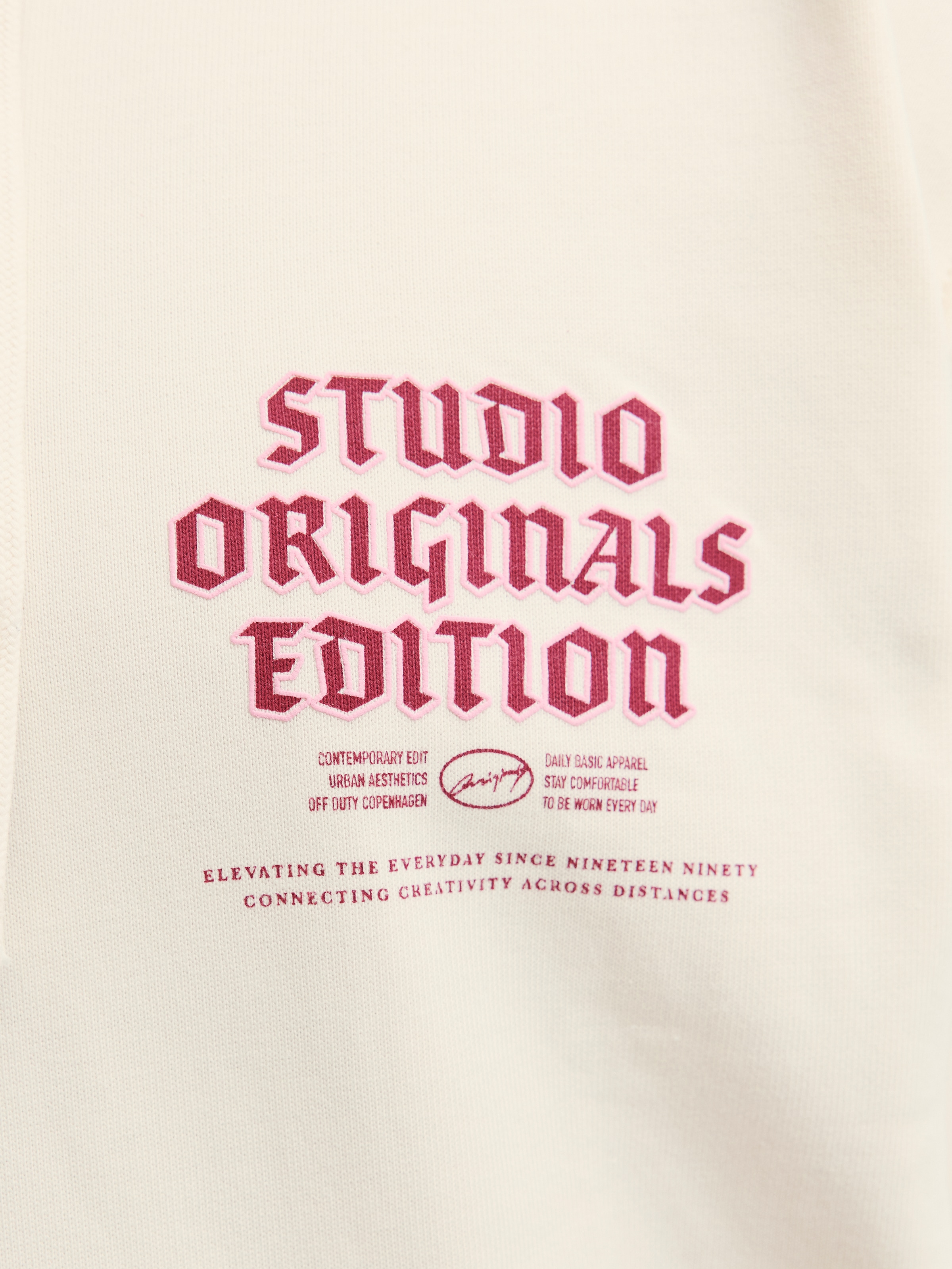 Jack & Jones PlusSize Sweat à capuche »JORMEADOWS SWEAT HOOD PLS«
