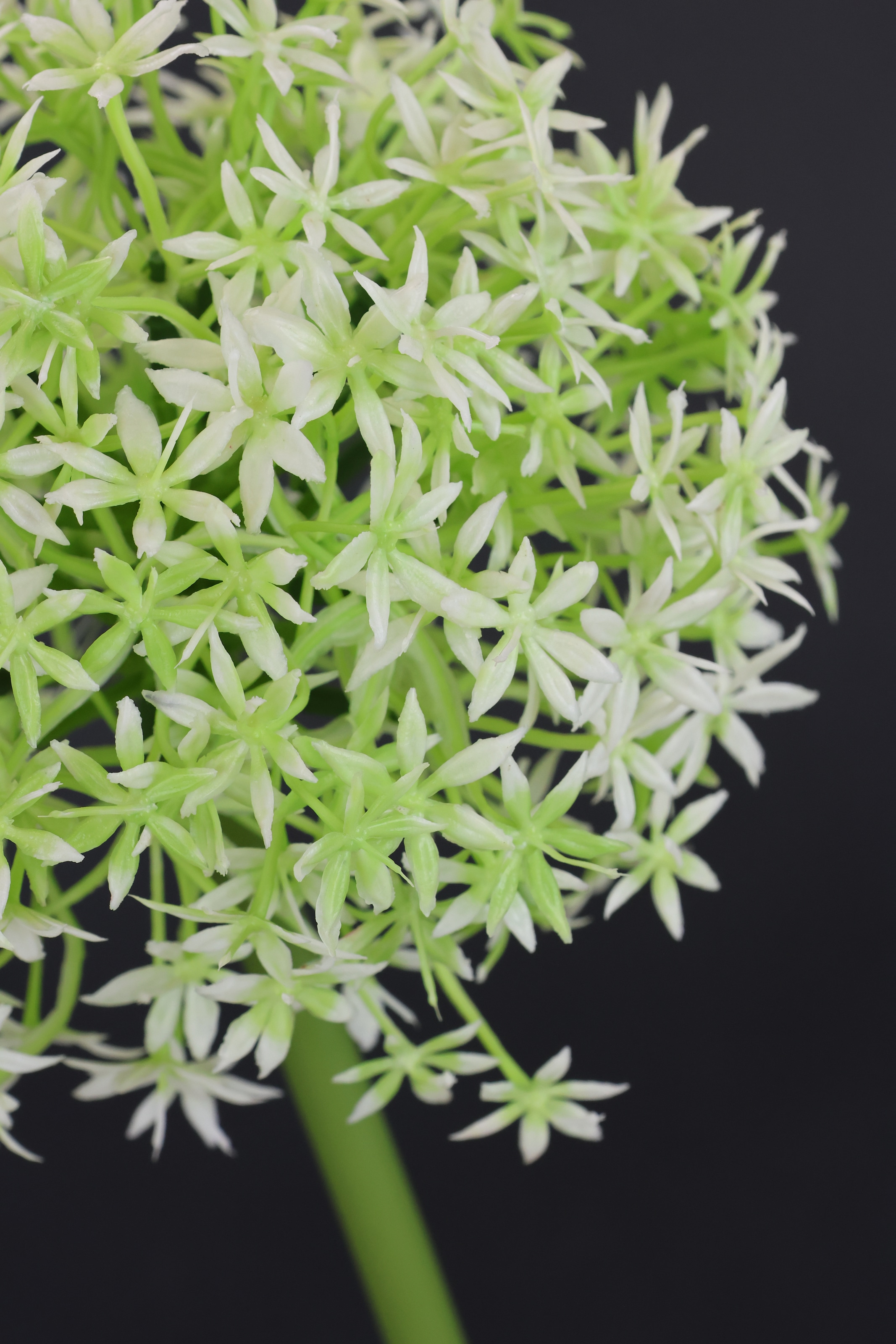 I.GE.A. Fleur artificielle »Allium Zierlauch« Stielblume künstliche Blumen, 2er Set