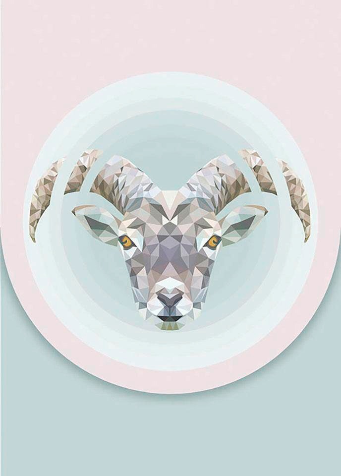 Komar Image »Capricorn« 1 cuis tlg. Wandbild zur Dekoration - ohne Rahmen