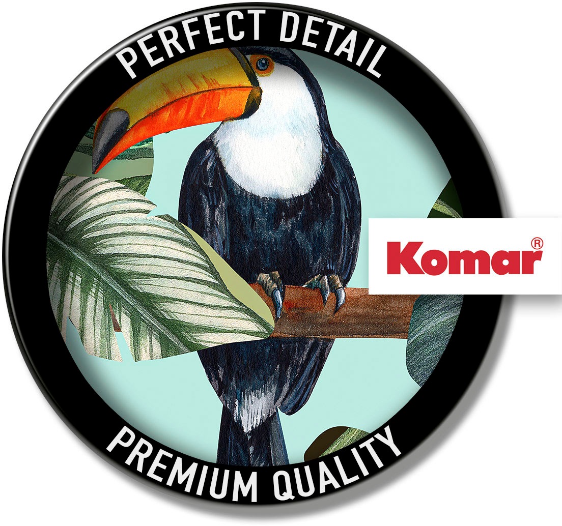 Komar Bild »Toco Toucan« Natur 1 Stk. tlg. Wandbild zur Dekoration - ohne Rahmen