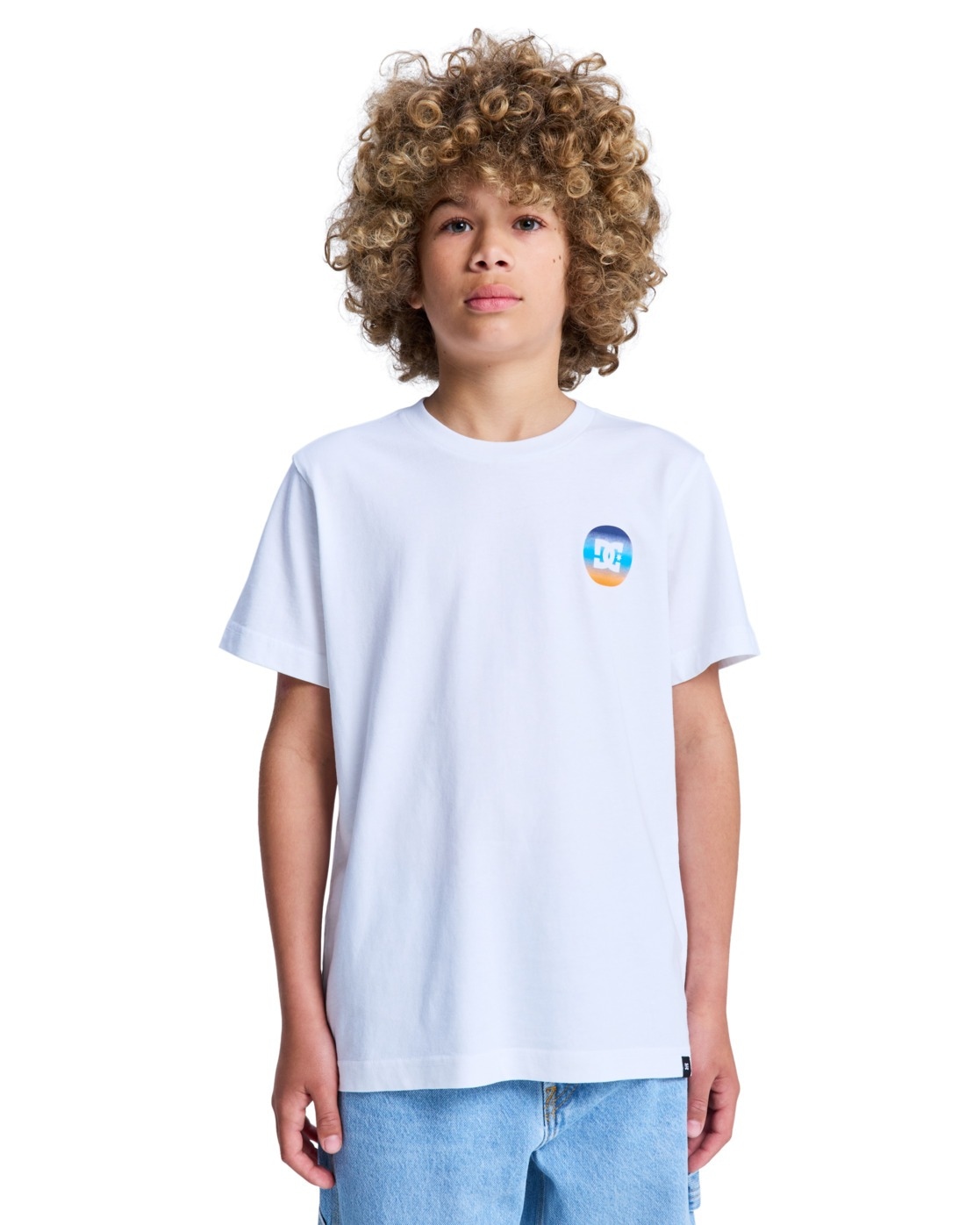 DC Shoes T-Shirt »Shape Or Destroy«