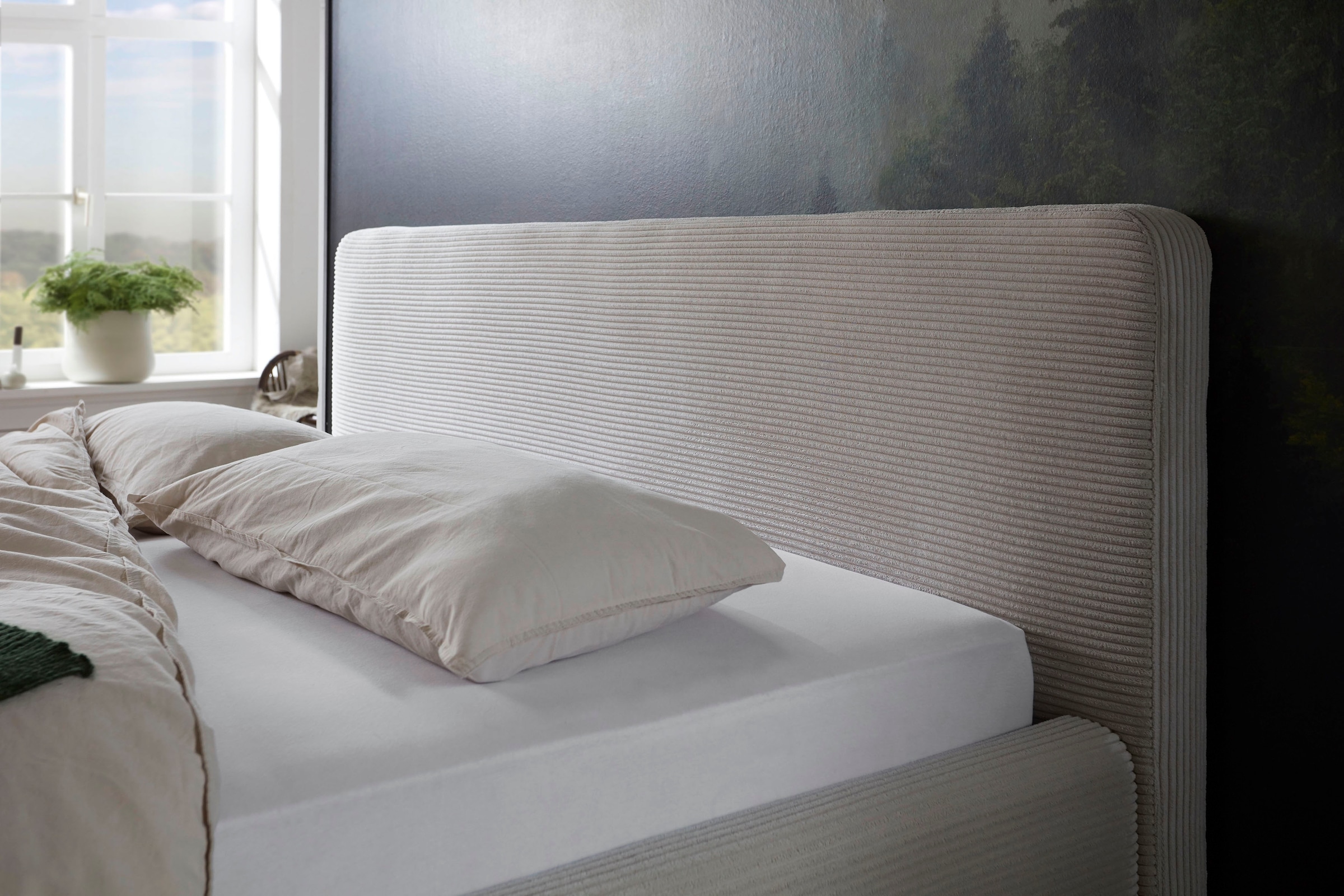 meise.möbel Lit rembourré »MATTIS, Bett wahlweise mit Bettkasten, Cord« Surfaces de couchage : 120x200cm, 140x200cm, 160x200cm & 180x200cm