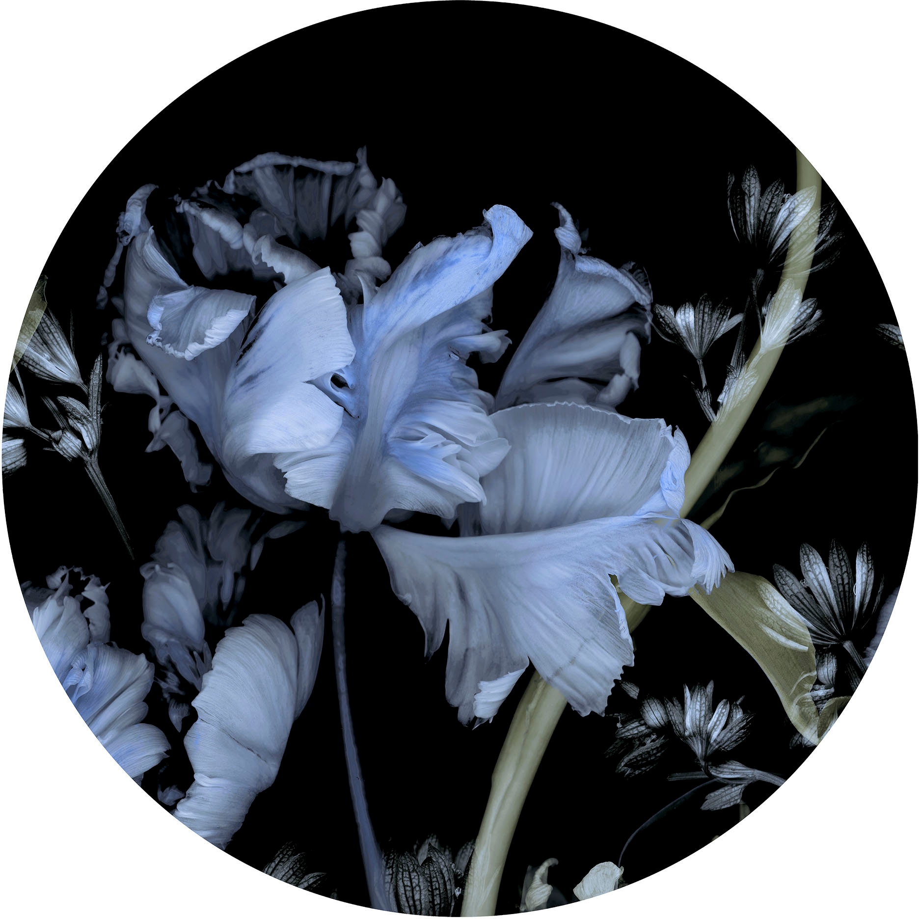 Fashion for walls Papier peint photo »Tiao Hua« Phthalate frei