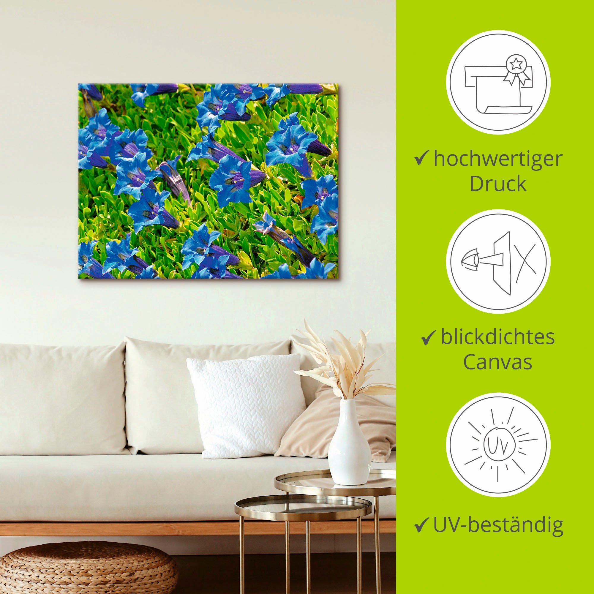 Artland Leinwandbild »Enzian« Blumenwiese 1 Stk. tlg. auf Holzrahmen gespannt