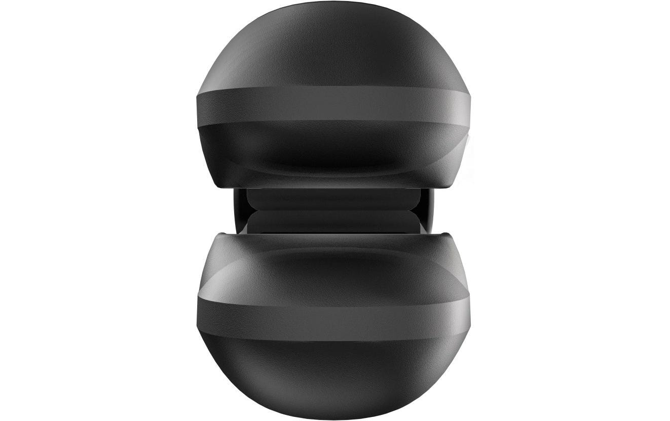 Valera Fer à lisser »SwissX Precisa Black«