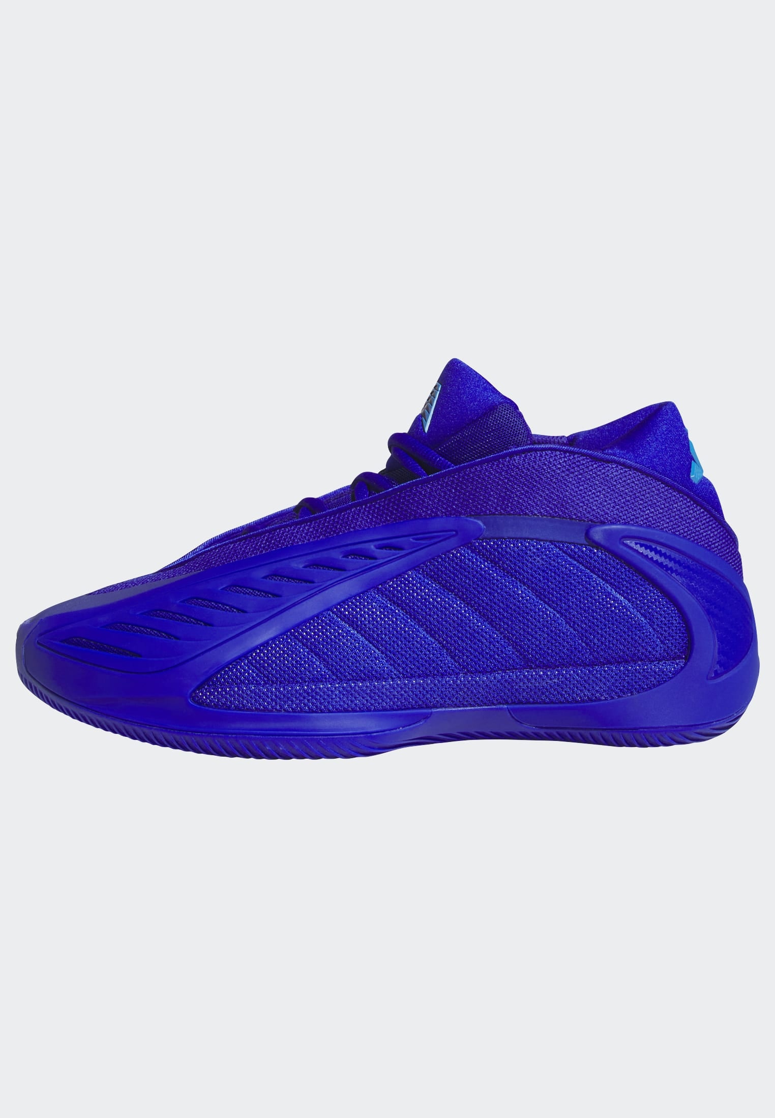 adidas Performance Chaussure de basket »ANTHONY EDWARDS 2«