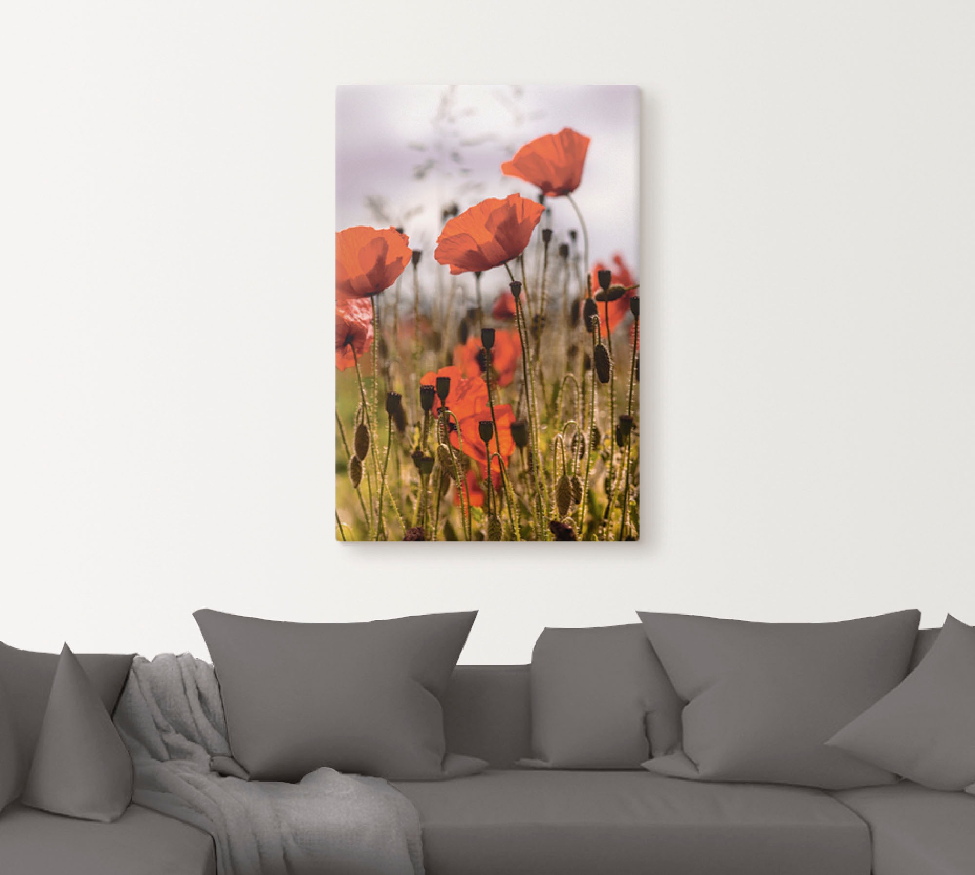 Artland Wandbild »Mohnblumen im Morgenlicht« Blumenwiese 1 Stk. tlg. als Alubild, Outdoorbild, Leinwandbild, Poster in verschied. Grössen