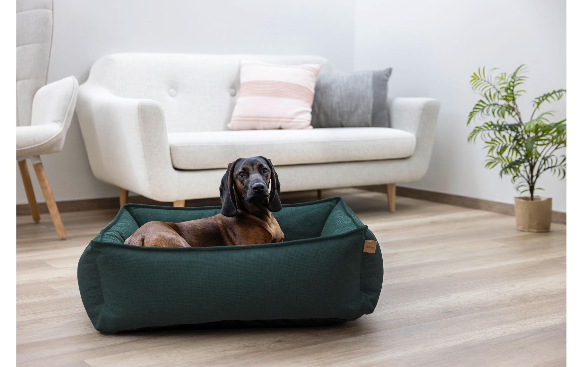 Kerbl Tierbett »Oliver 85 x 110 cm«