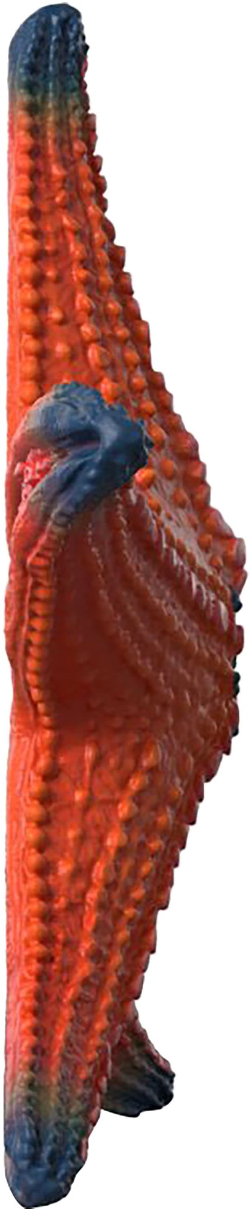 Schleich® Personnage de jeu »WILD LIFE, Seestern (14902)« mit Farbwechsel