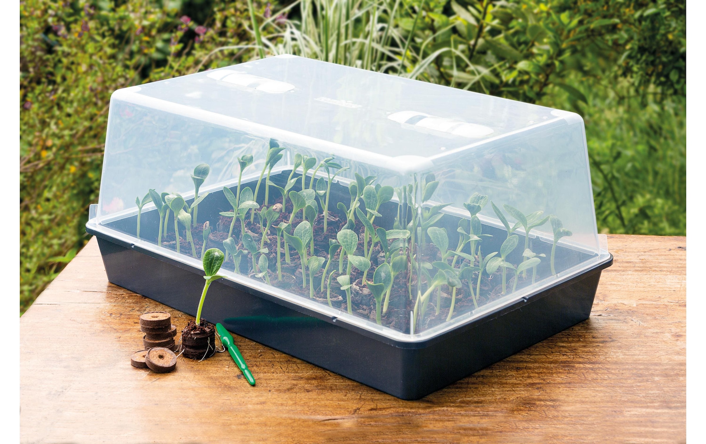   Gewächshaus »Romberg XXL mit Belüftung,stabil,lose Ware«