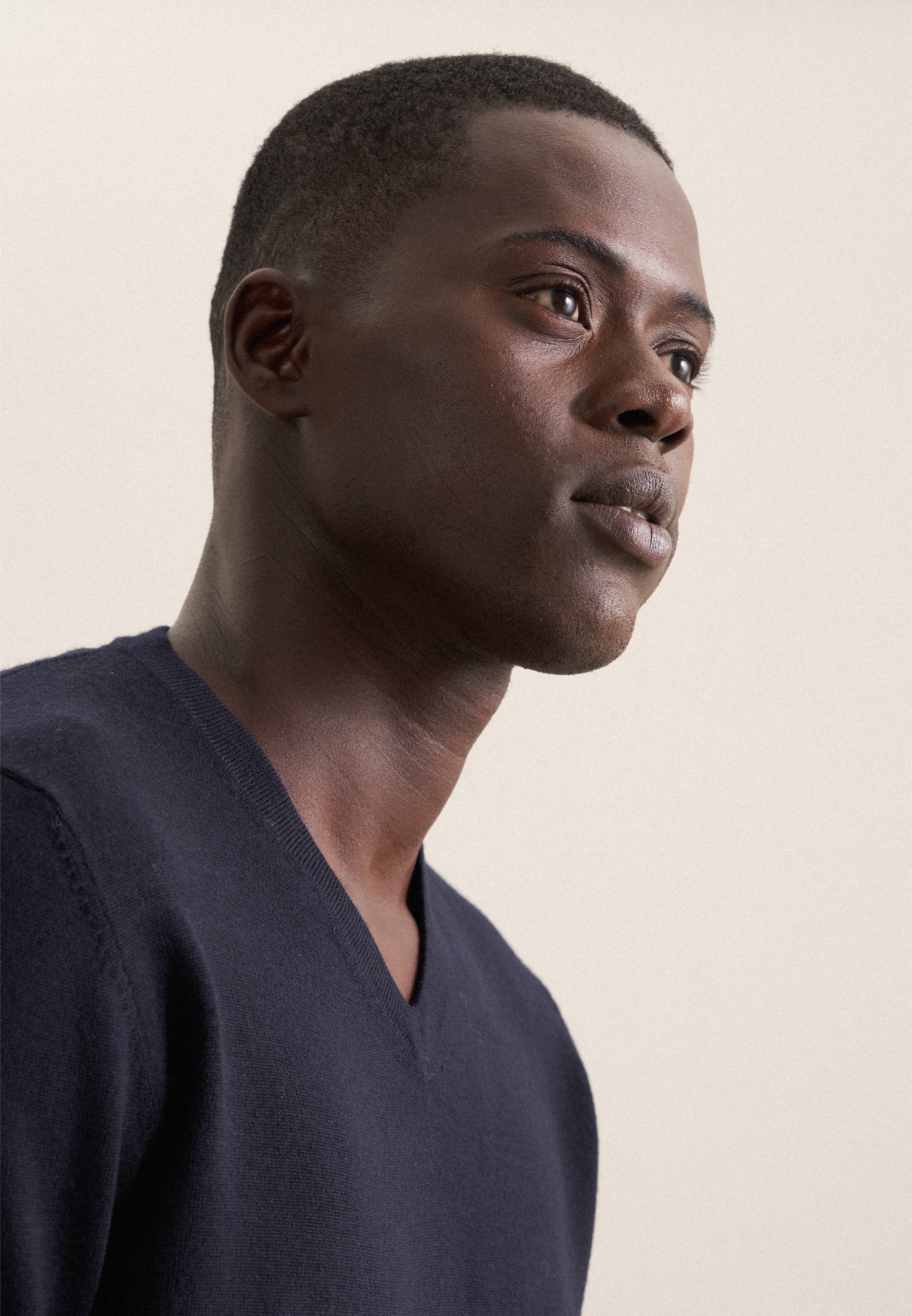 seidensticker Pullunder »Schwarze Rose« V-Neck Uni