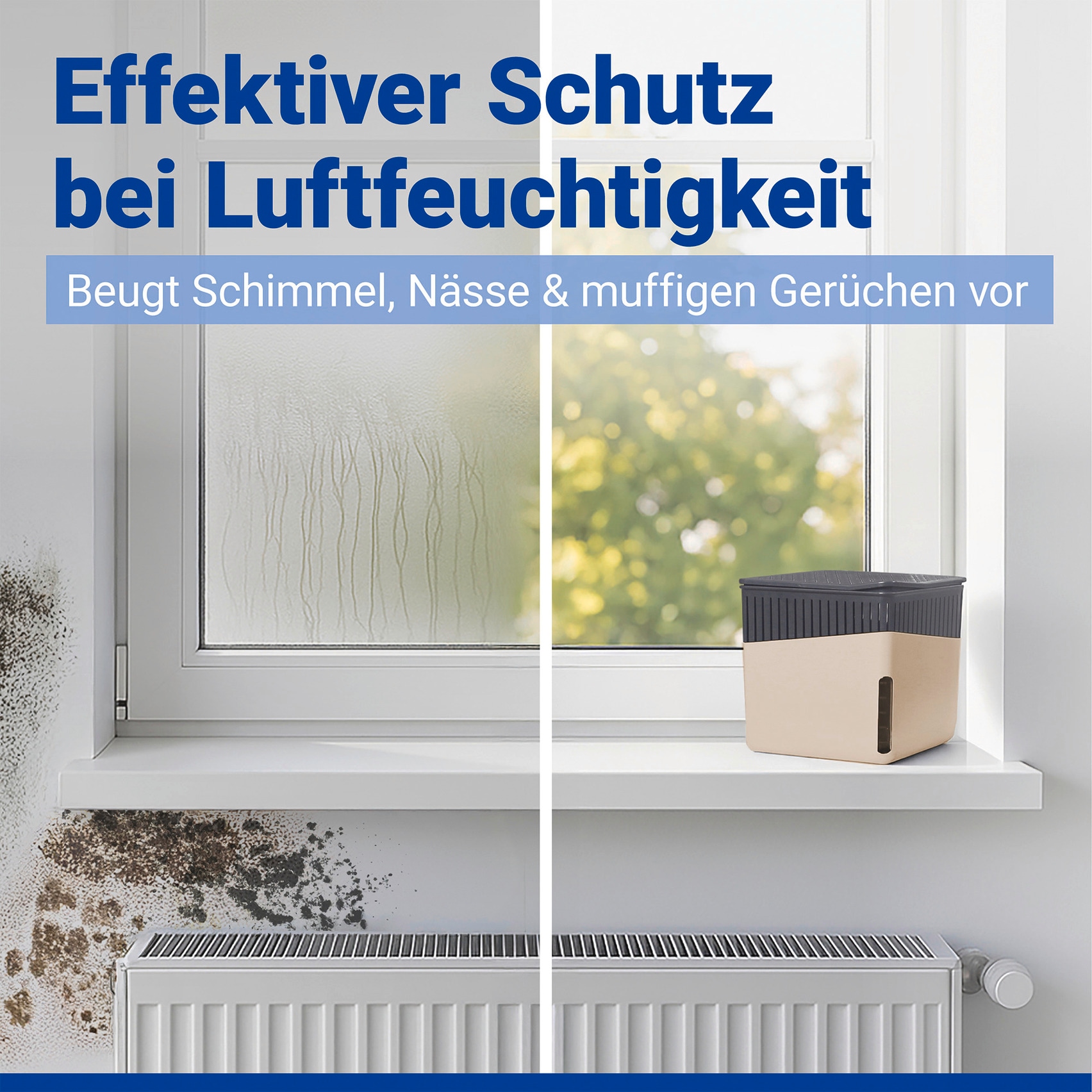 WENKO Luftentfeuchter »Cube« für 80 m³ Räume 1000 g