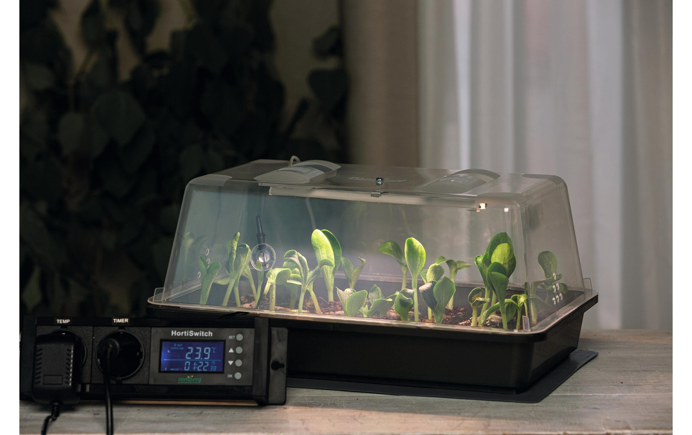   Frühbeet »Romberg Gewächshaus Climatic M LED«