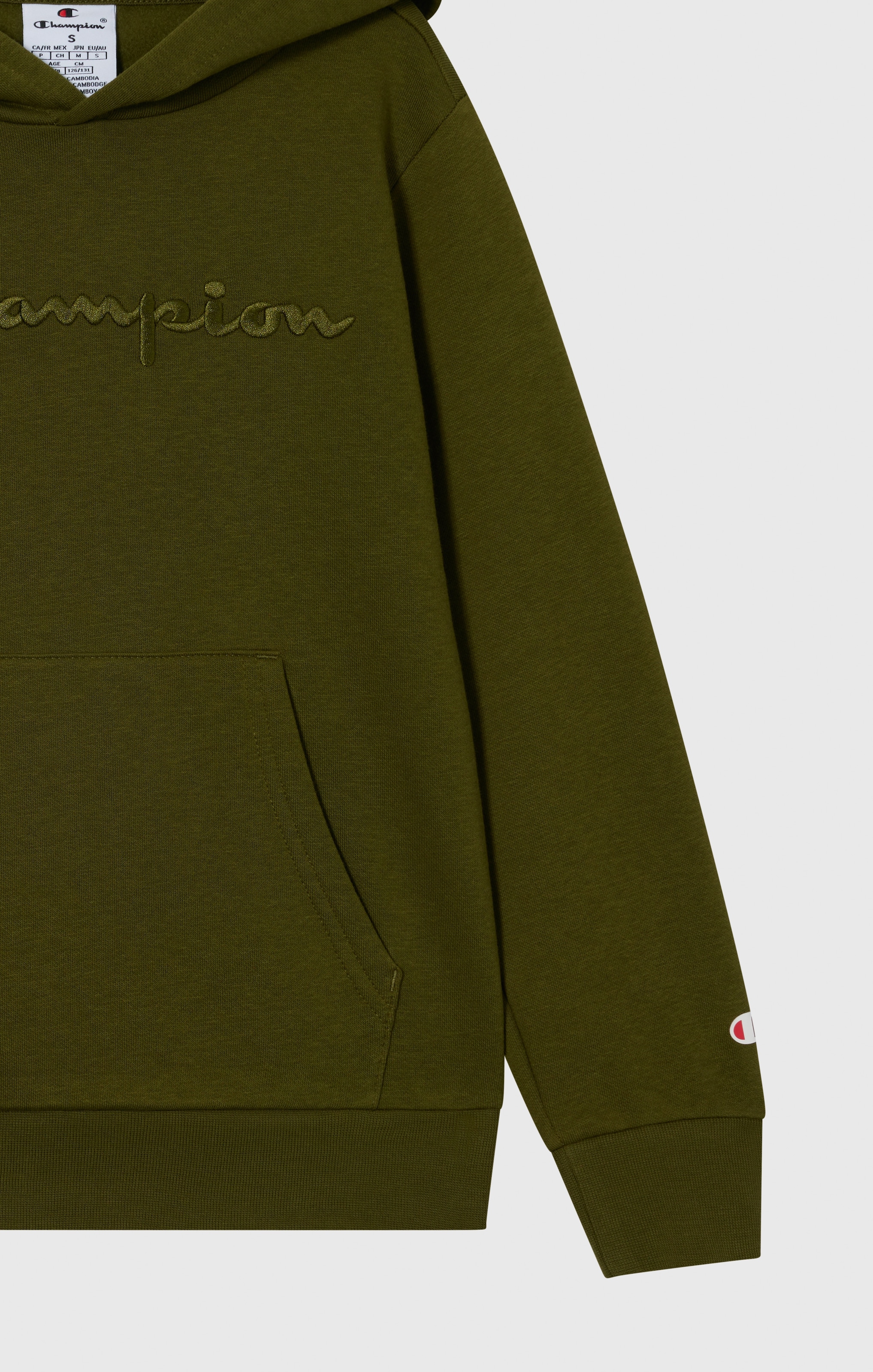 Champion Sweat à capuche »ICONS TONAL Hoodie Large Logo« 1 cuis tlg.