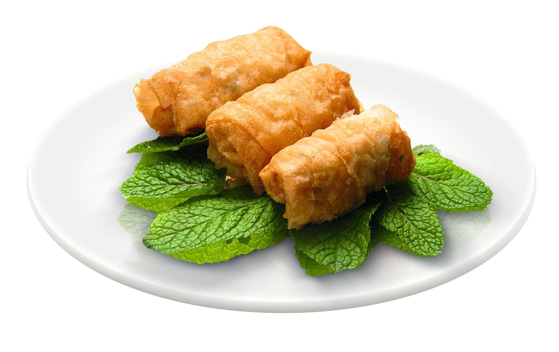 Tefal Fritteuse »Fritteuse Mega 2 kg« - W