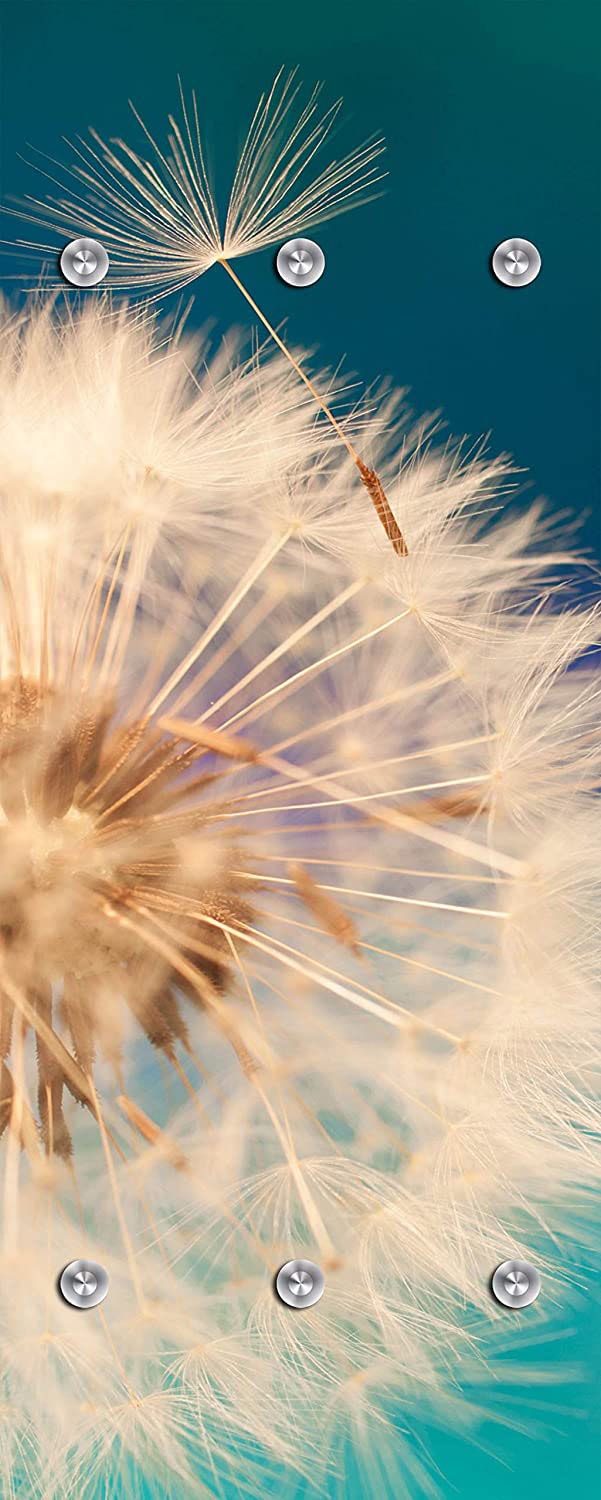 queence Barre de penderie »Anneli« Wand Garderobe, Blume, Pusteblume, platzsparend