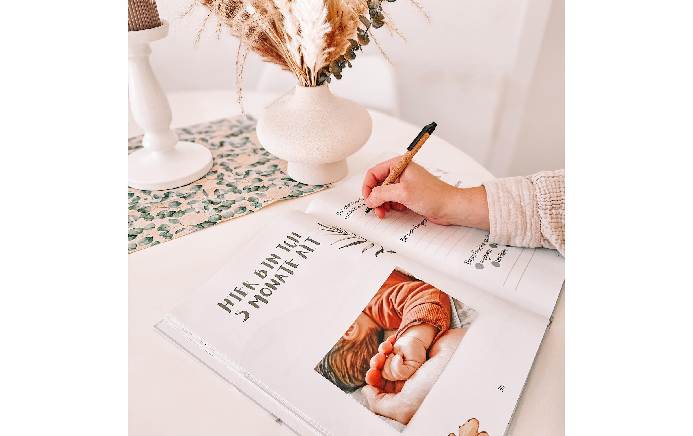   Buch »Eulentaler Pflanzen«