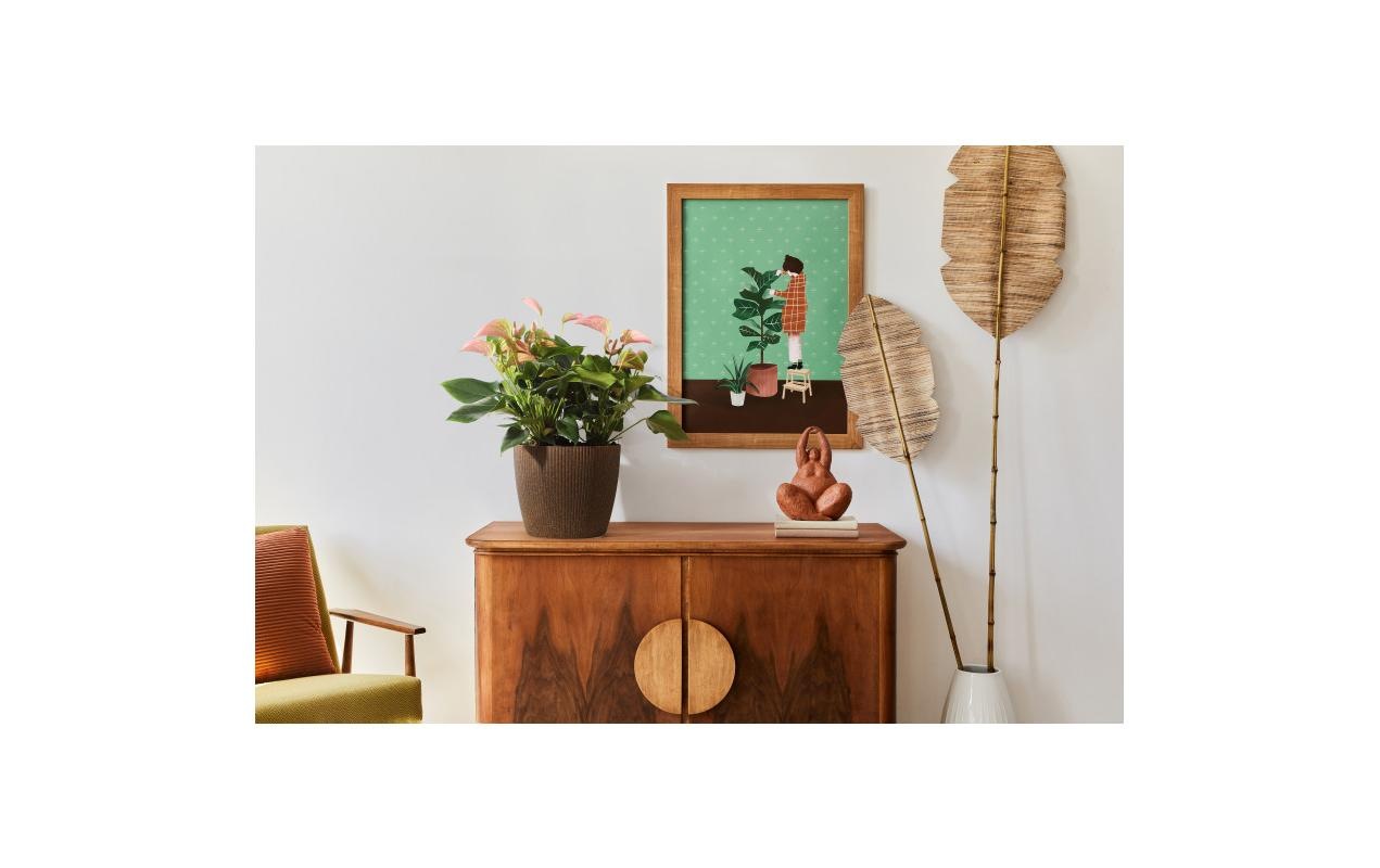 neogard Blumentopf »Magnolia Eco«