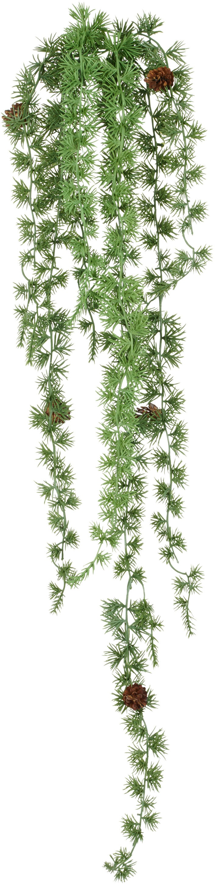 Creativ green Liane artificielle »Hängezweig mit Zedernzweigen« mit Zapfen