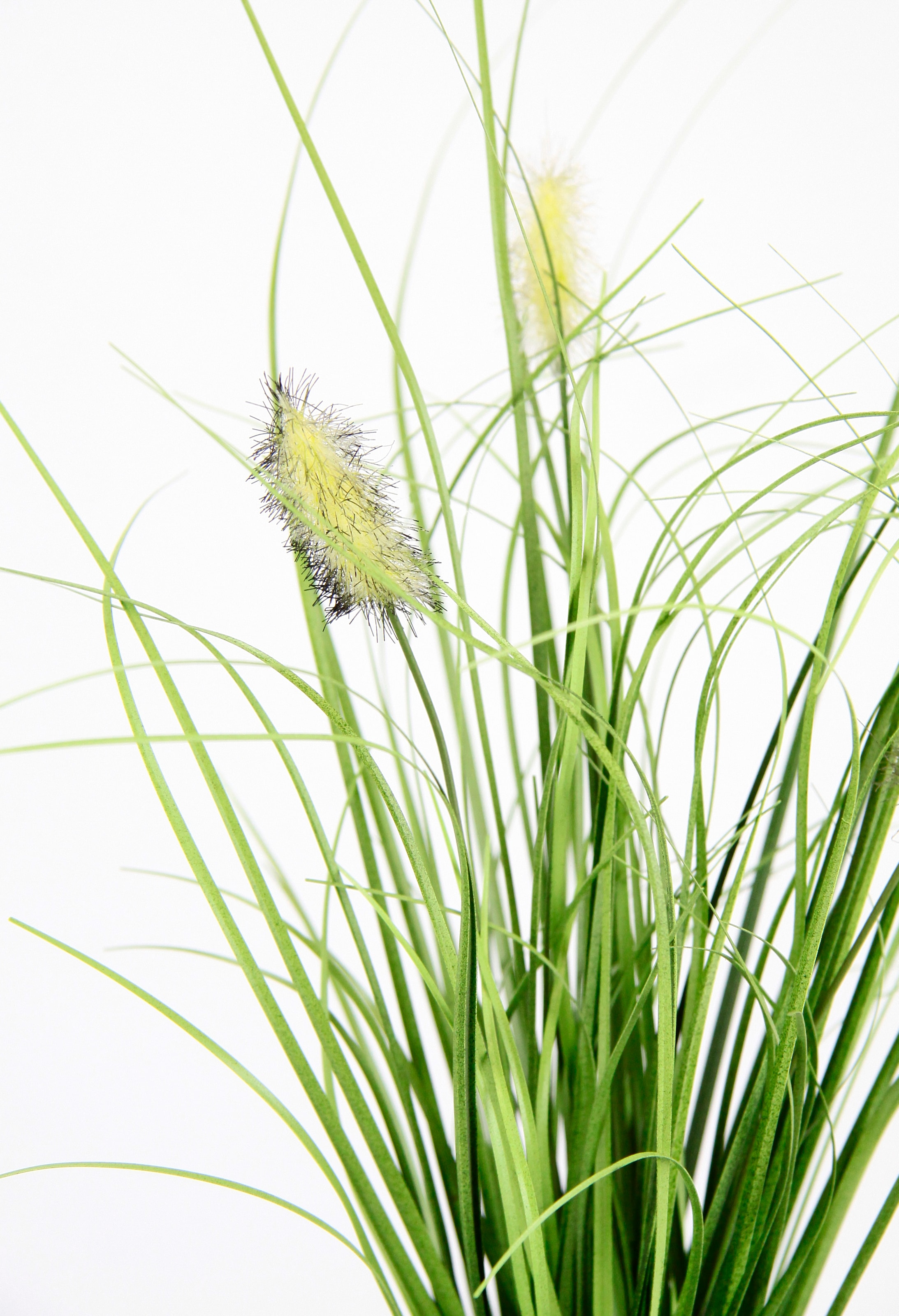 I.GE.A. Kunstgras »Künstliches Gras 'Fuchsschwanz'« Im Reisig-Nest, 3er Set