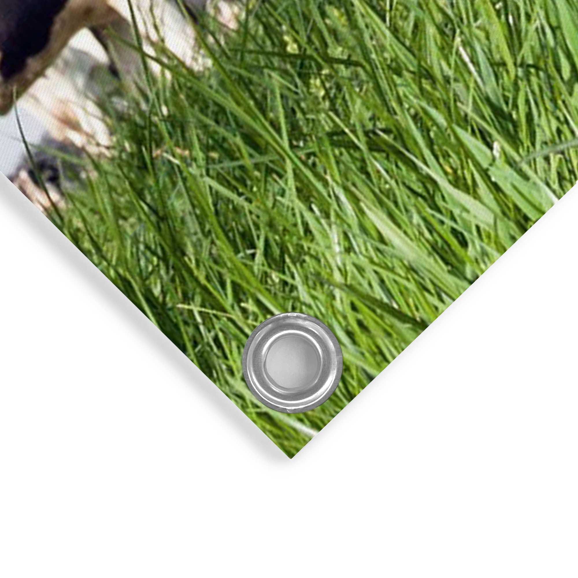 Reinders! Poster »Dutch Cow« Garten - Kuh - Wiese - Grün - Leinwand - Tiere - 60x80 cm