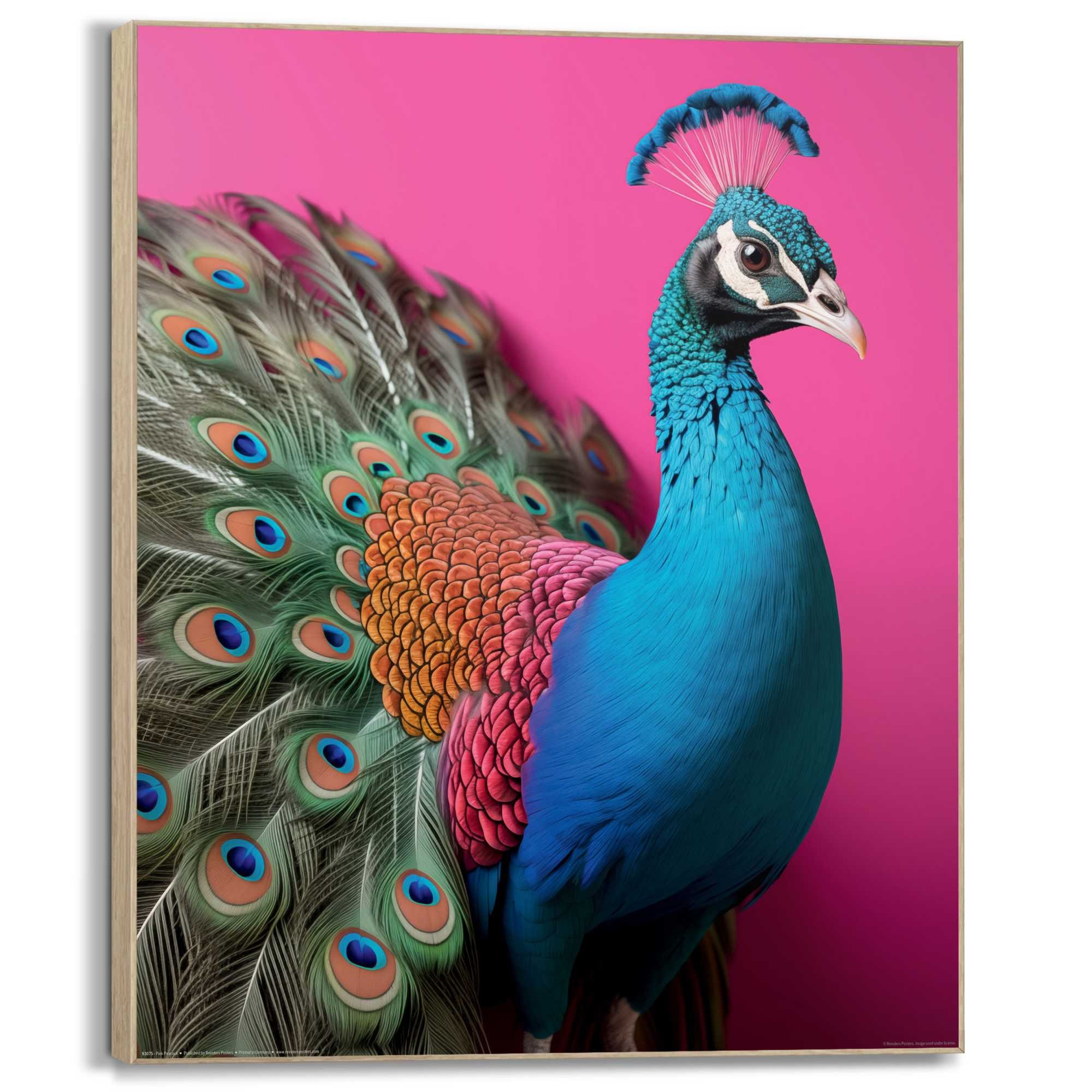 Reinders! Wandbild »Pink Peacock«