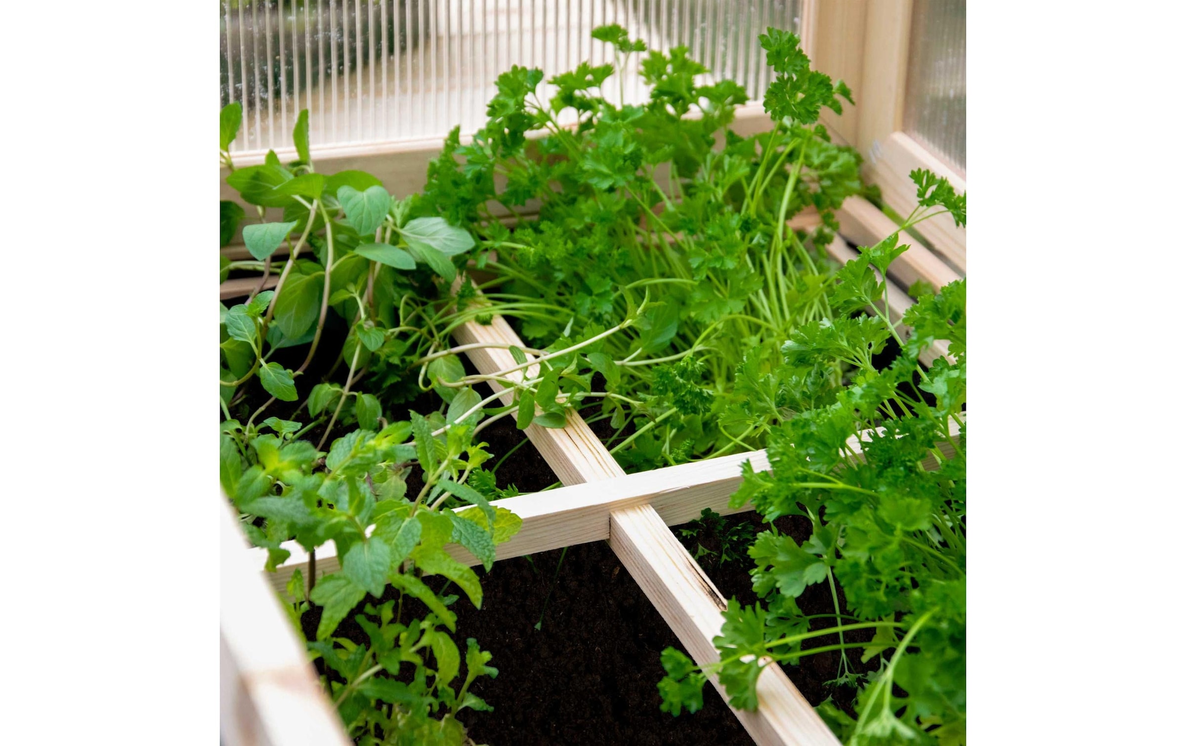 dobar Hochbeet »Erhöhtes Frühbeet mit Aufsatz aus Holz«