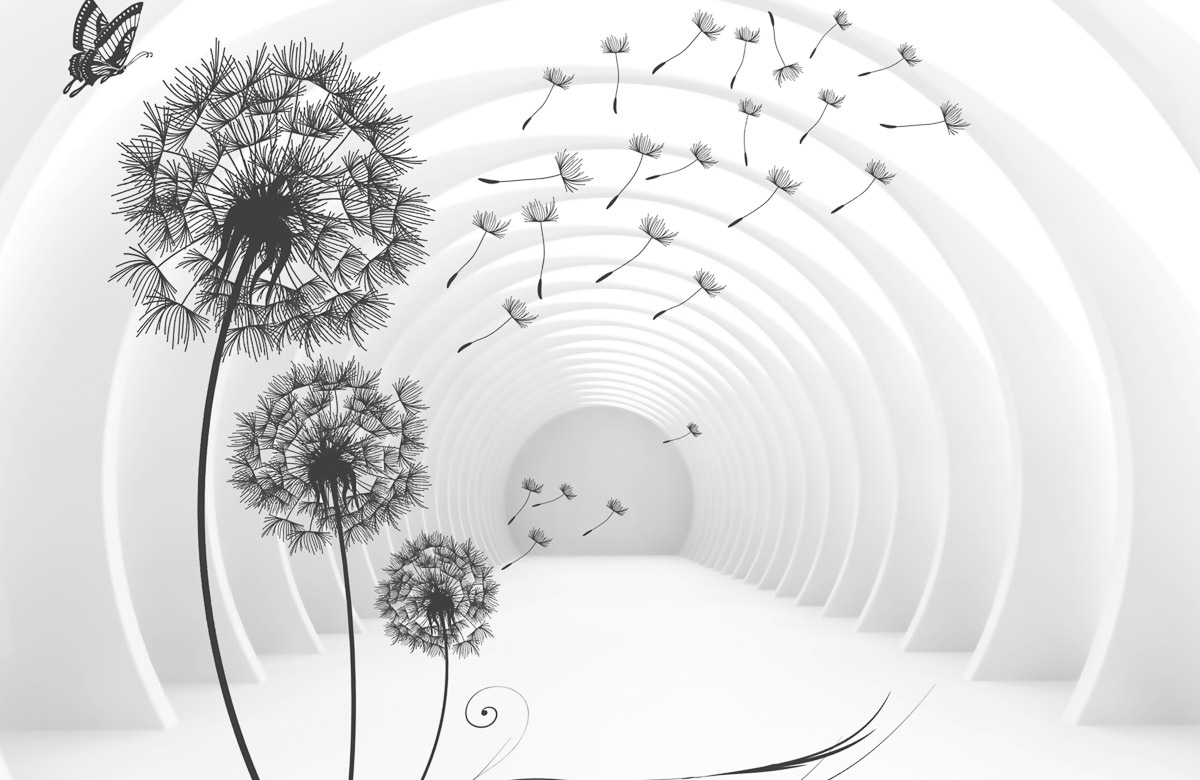 Papermoon Fototapete »Pusteblumen«