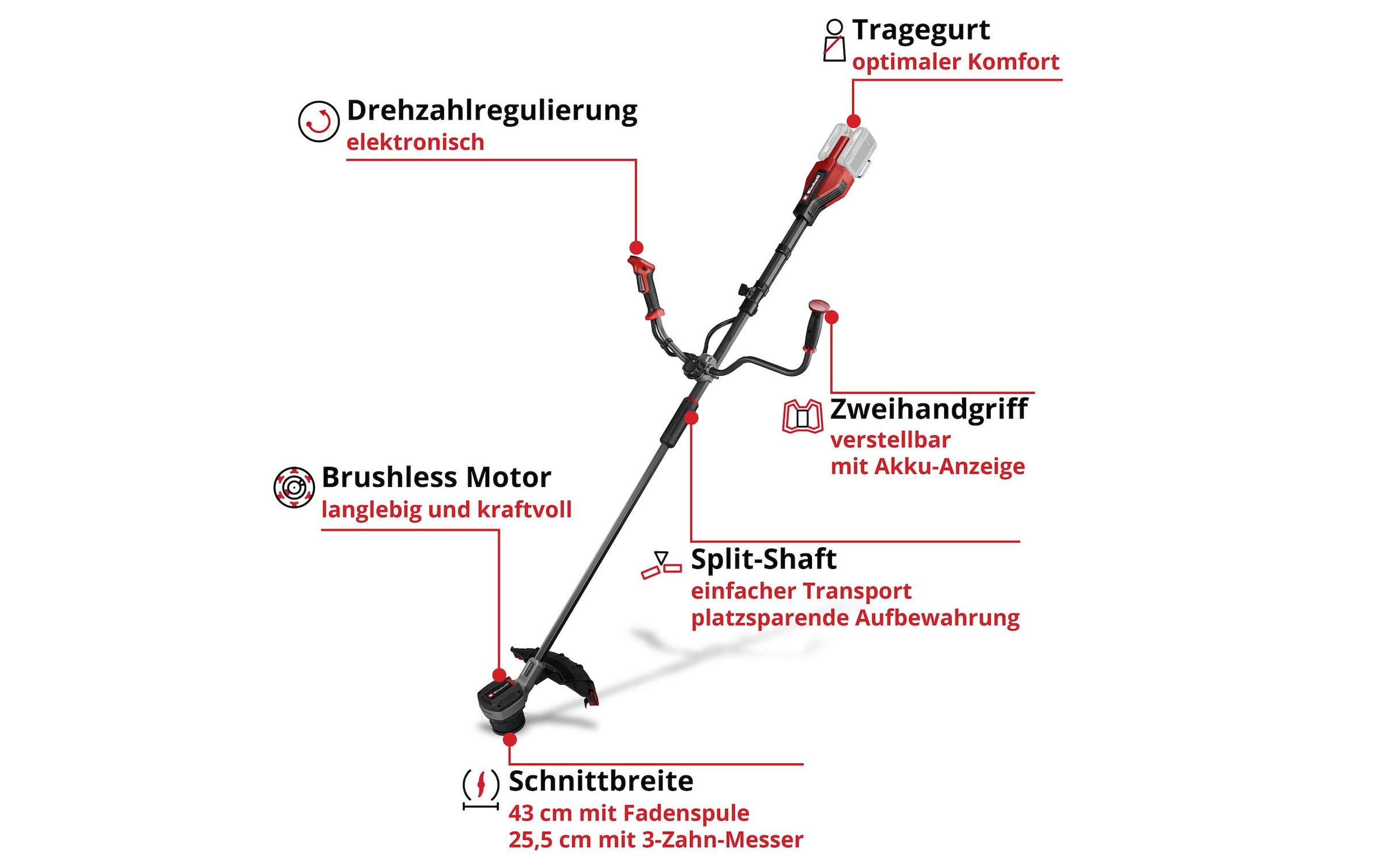   Akku-Rasentrimmer »Einhell Professional GP-BC 36/430 Li BL-Solo«