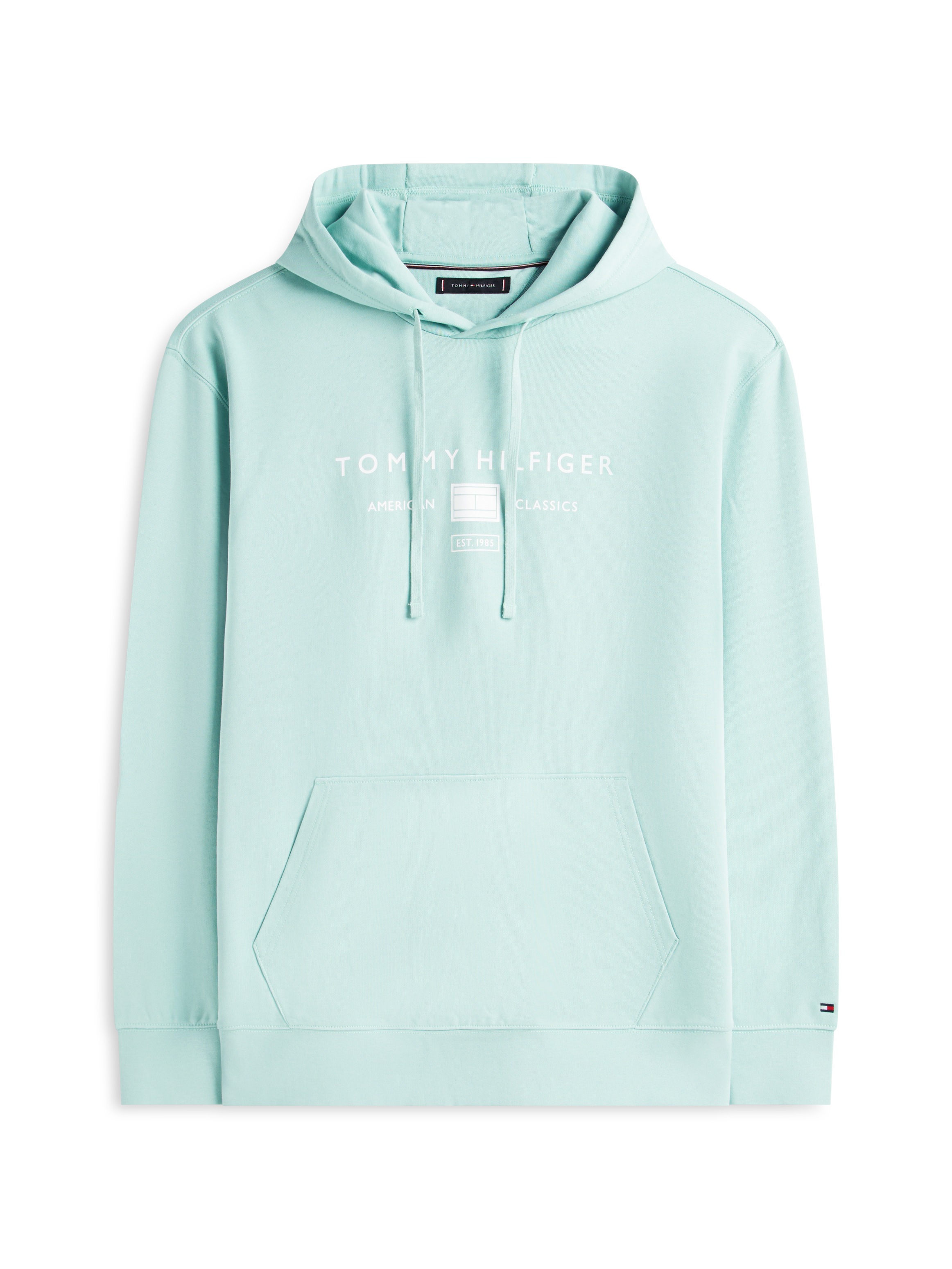 Tommy Hilfiger Big & Tall Hoodie »BT-BRAND L0VE TR MONO STOCK«, grandes tailles, coupe normale

