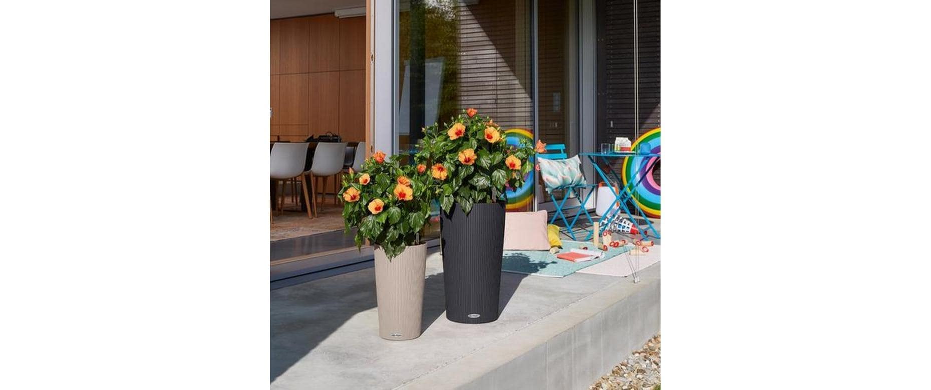   Bac à plantes »Lechuza CILINDRO Color 23«