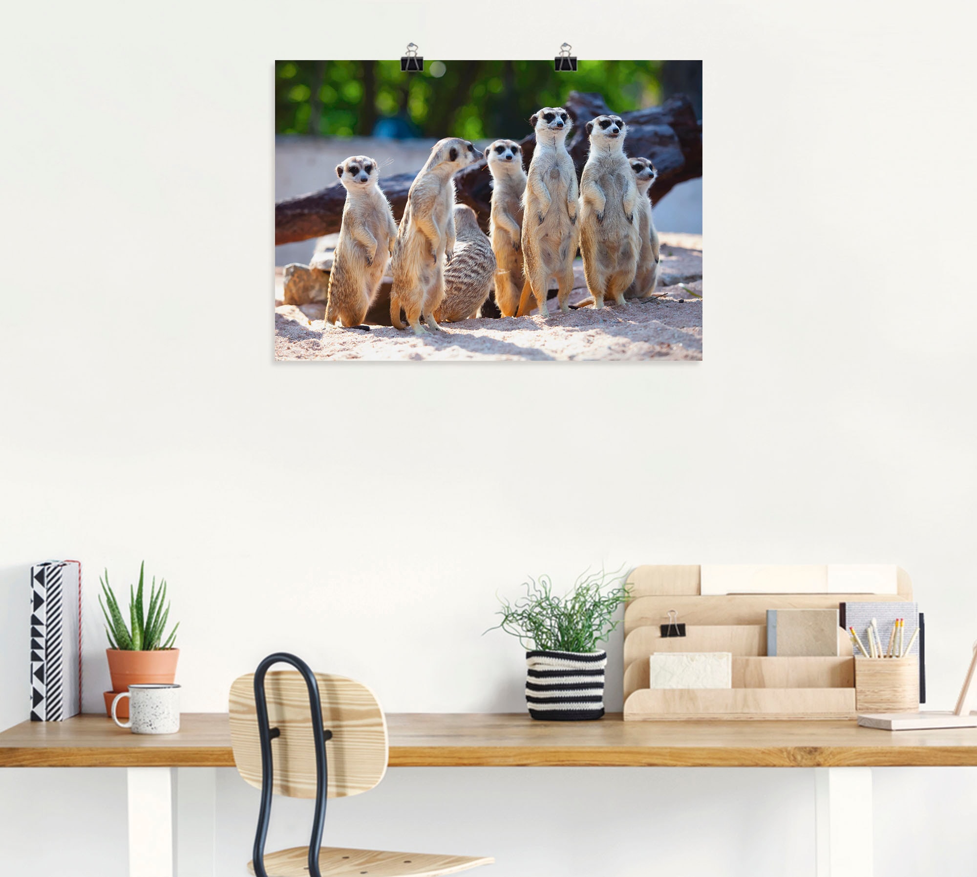 Artland Poster »Erdmännchenfamilie« Wildtiere 1 Stk. tlg. ohne Rahmen