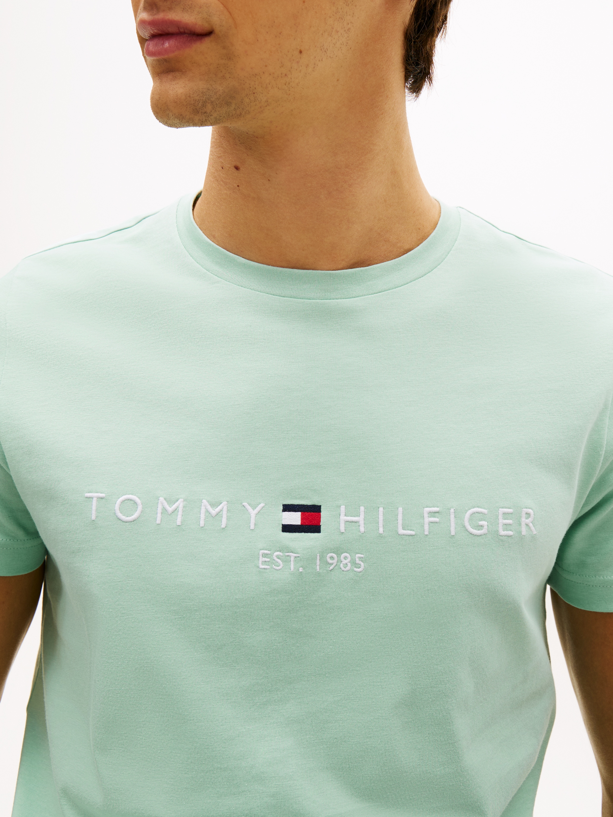 Tommy Hilfiger T-Shirt »TOMMY LOGO« aus reiner Baumwolle