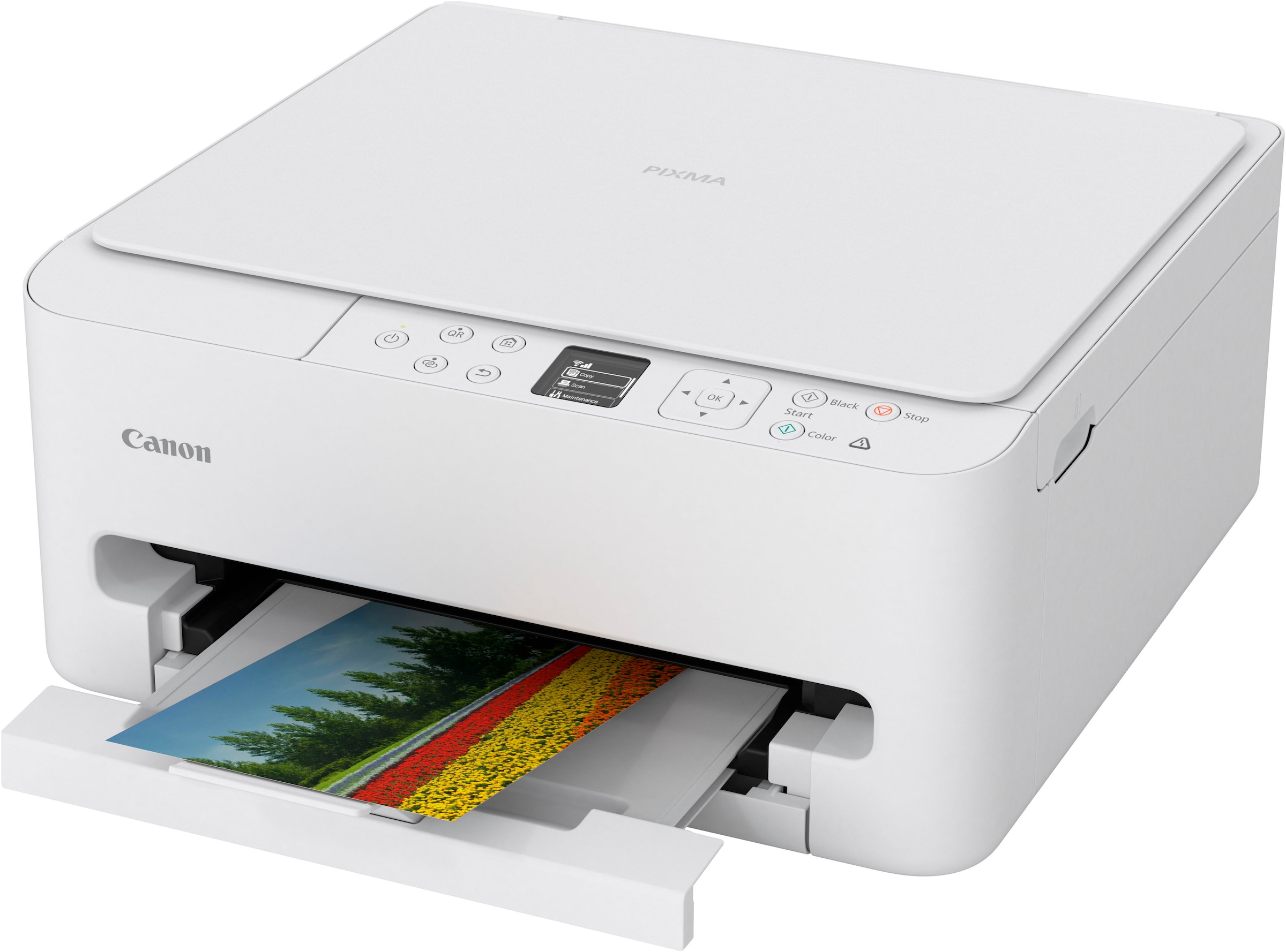 Canon Multifunktionsdrucker »PIXMA TS6550i«