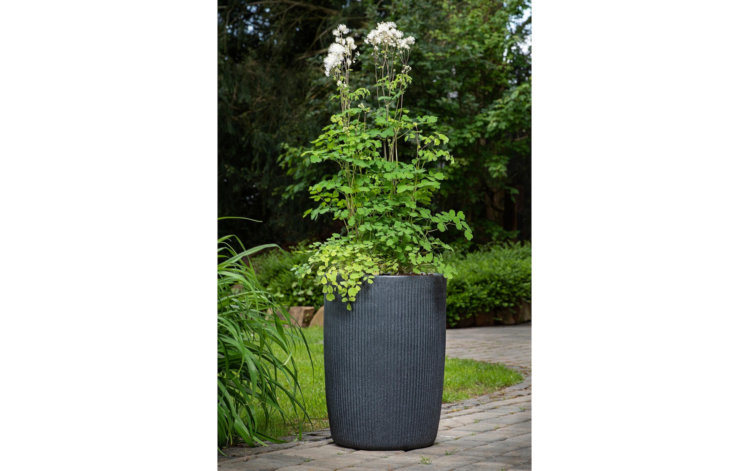 Scheurich Cache-pot »40/260 LINETTO HIGH« Hochgefäss/Pflanzgefäss aus Kunststoff, ØxH: 28,5x39,9 cm