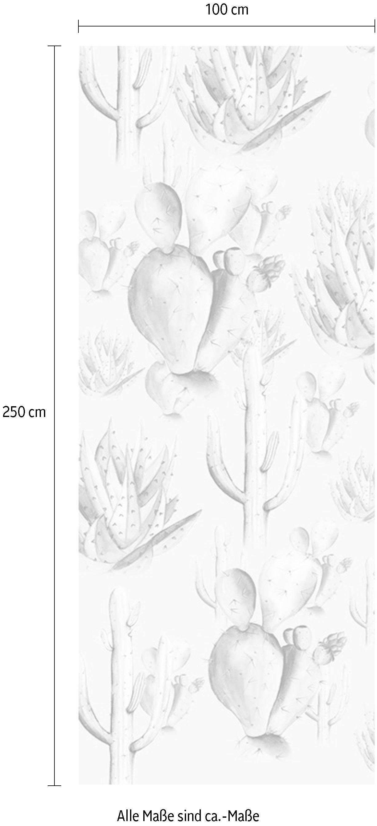 Komar Vliestapete (Breite x Höhe), Vliestapete, 100 cm Bahnbreite